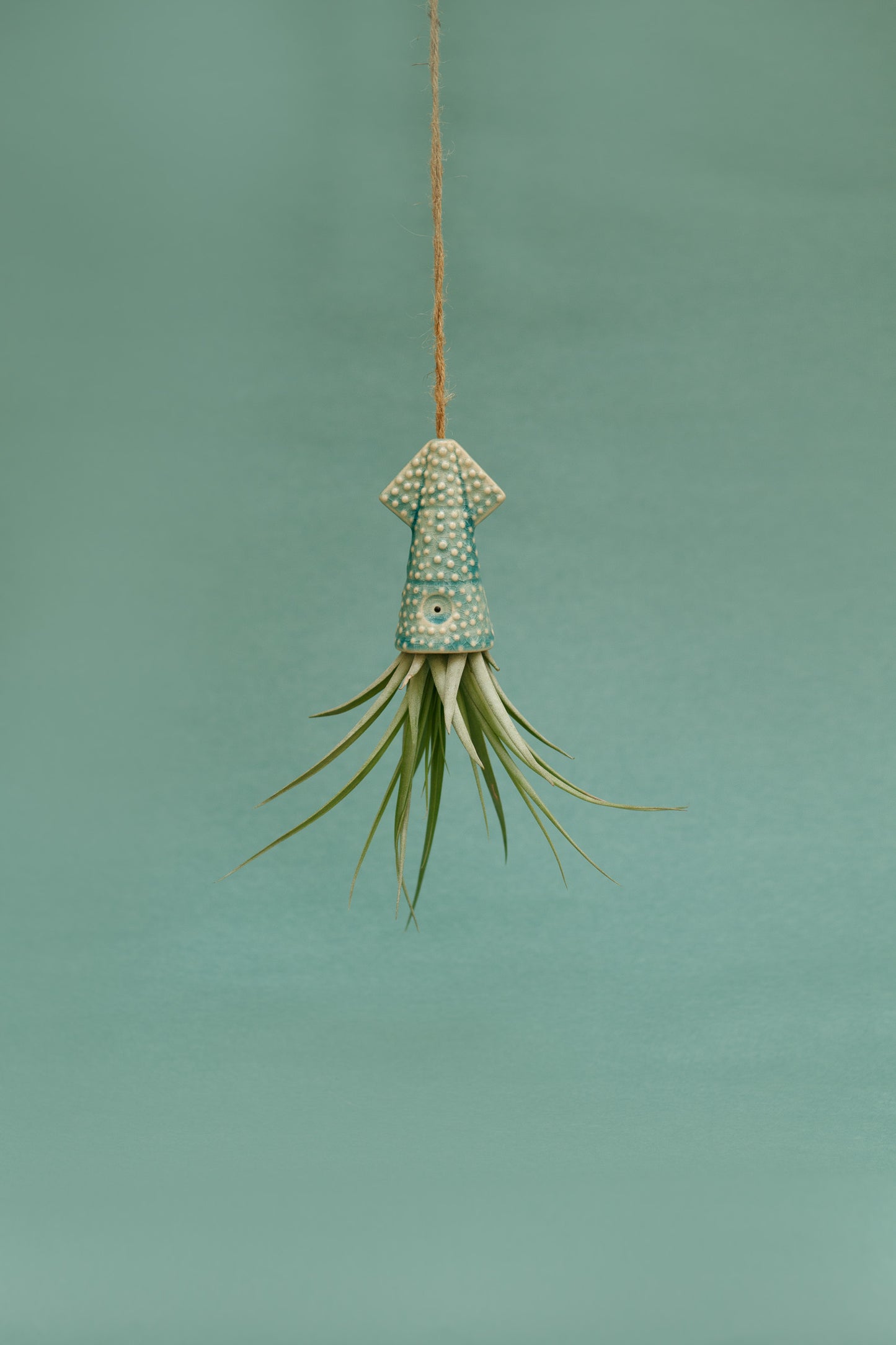 Keramik Luftpflanzenhalter „KUMO“ – Tintenfisch mit Tillandsia