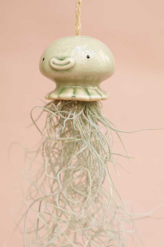 Keramik Luftpflanzenhalter „NONO“ – Qualle mit Tillandsia und fröhlichem Gesicht