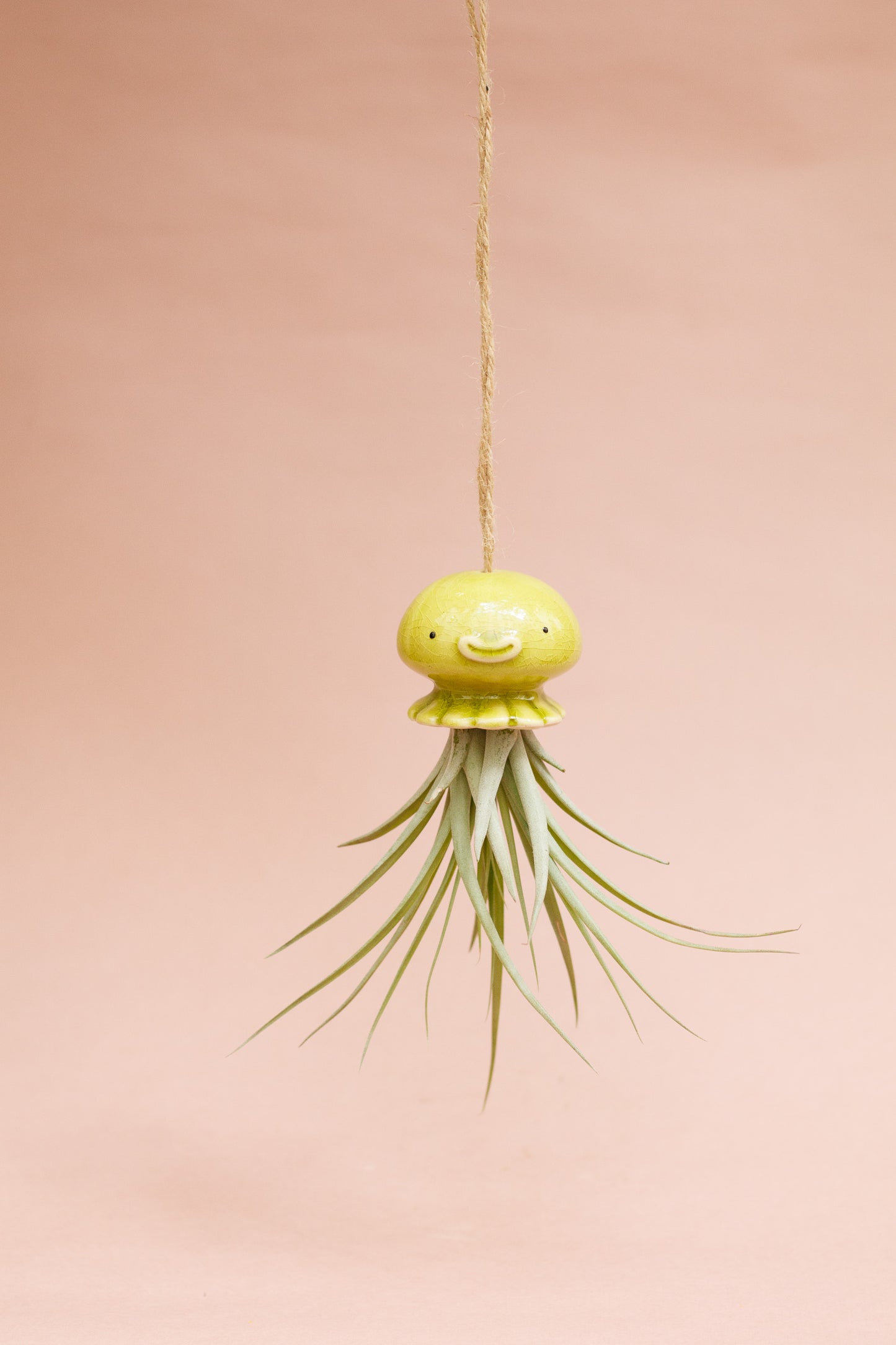 Keramik Luftpflanzenhalter „NONO“ – Qualle mit Tillandsia und fröhlichem Gesicht