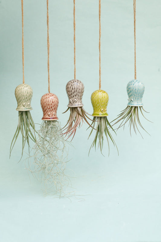 Keramik Luftpflanzenhalter „RAY“ – Oktopus mit Tillandsia