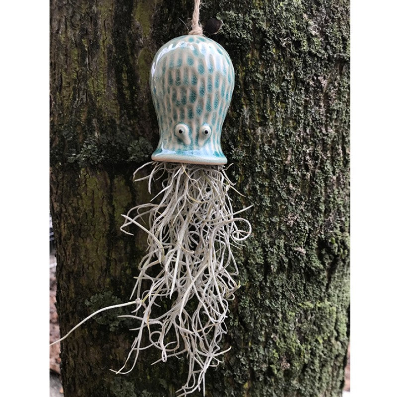 Air Plant Holder RAY