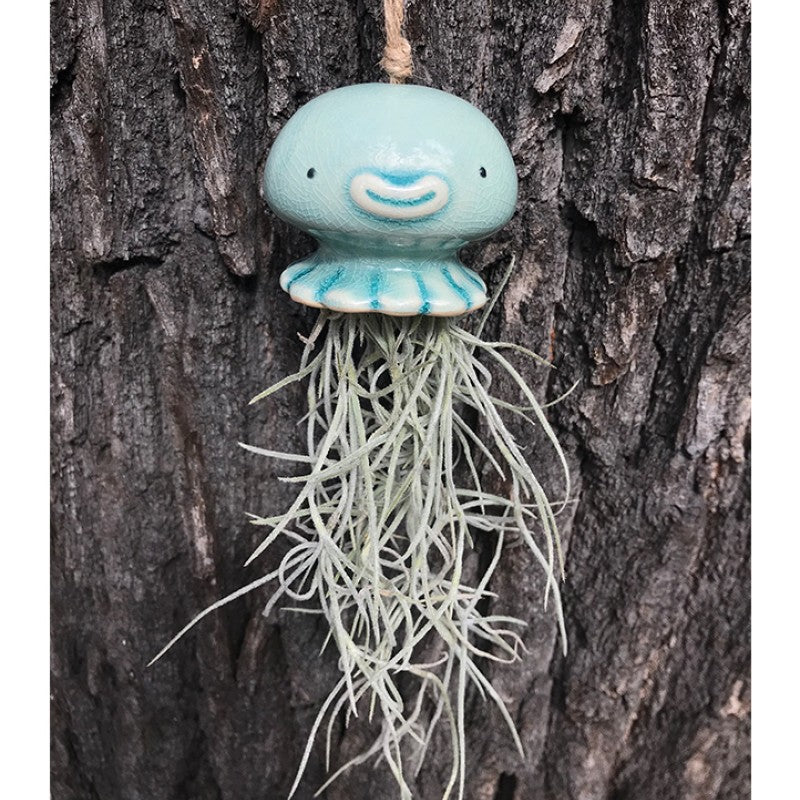 Air Plant Holder NONO