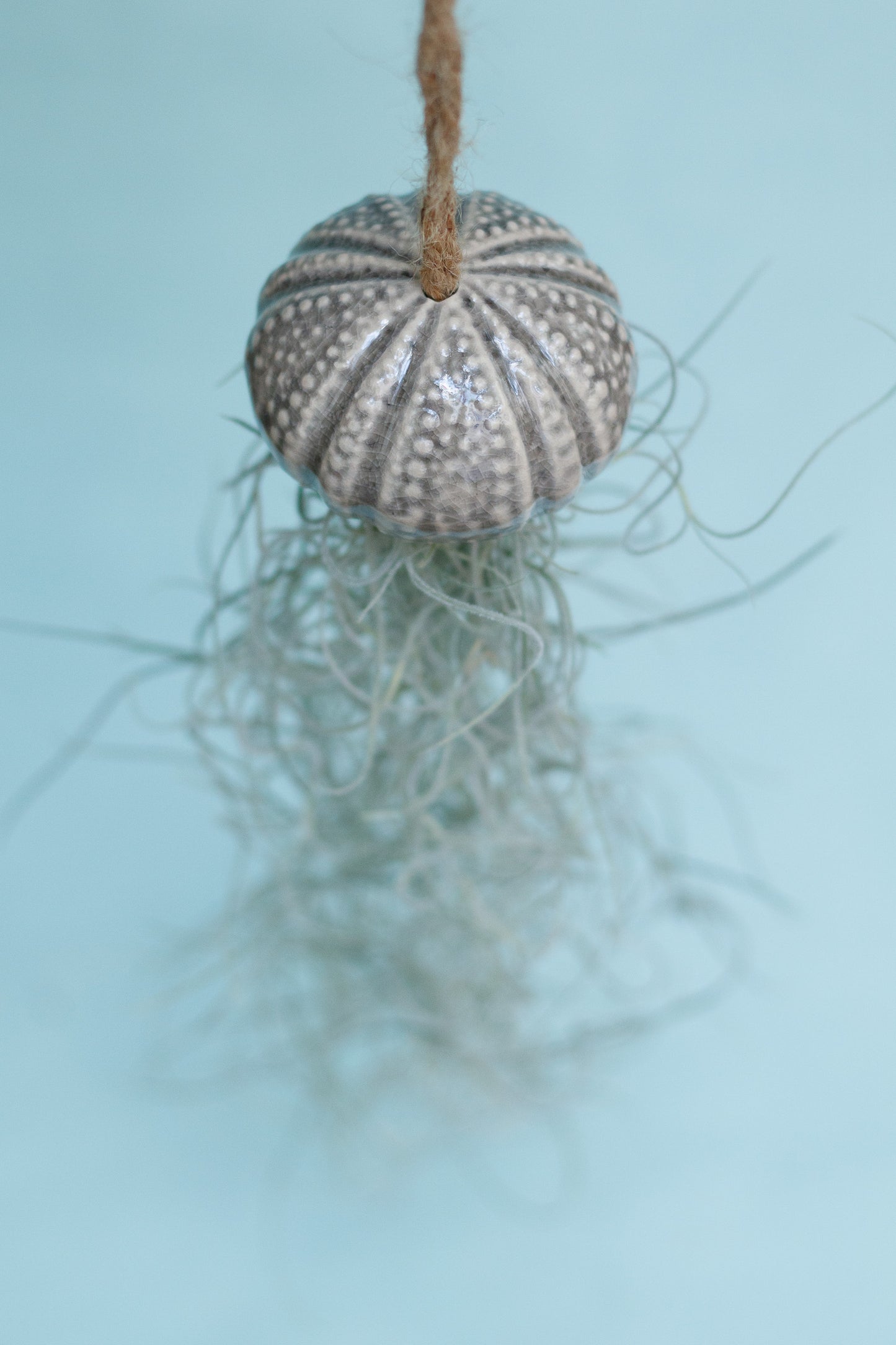 Keramik Luftpflanzenhalter „KITO“ – Qualle mit Tillandsia
