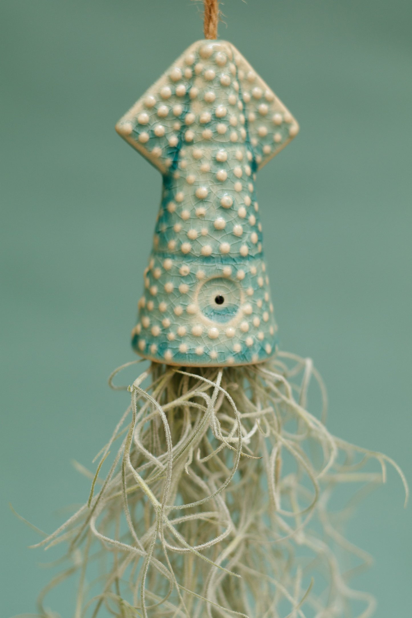Keramik Luftpflanzenhalter „KUMO“ – Tintenfisch mit Tillandsia