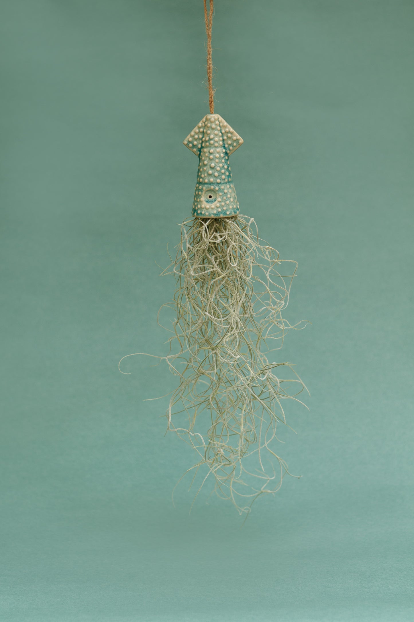 Keramik Luftpflanzenhalter „KUMO“ – Tintenfisch mit Tillandsia