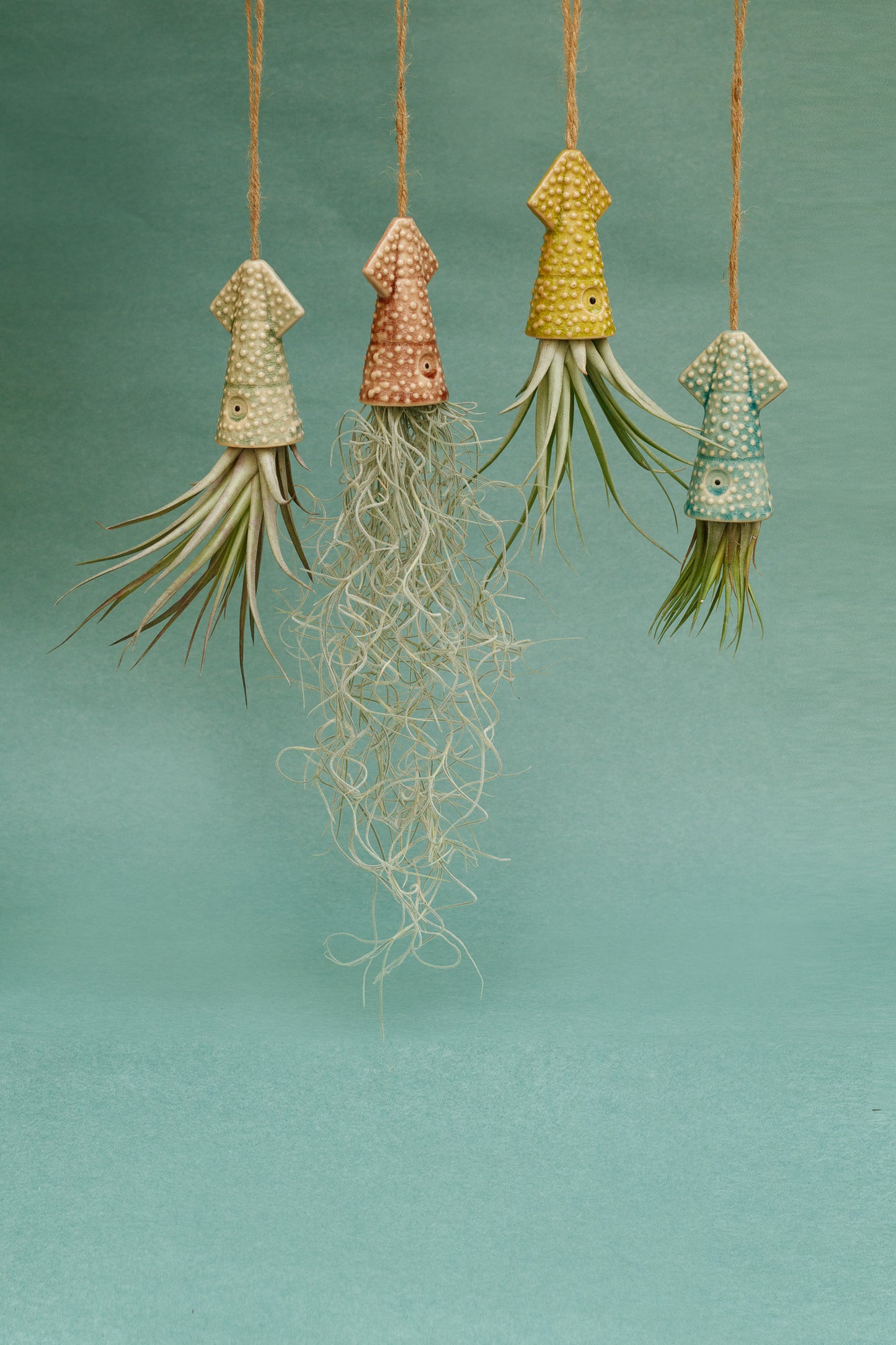 Keramik Luftpflanzenhalter „KUMO“ – Tintenfisch mit Tillandsia