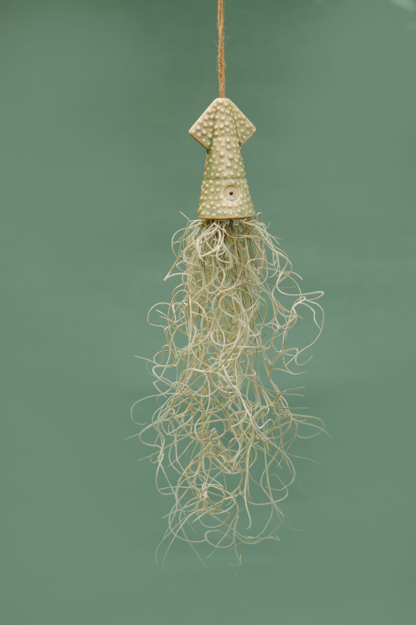 Keramik Luftpflanzenhalter „KUMO“ – Tintenfisch mit Tillandsia