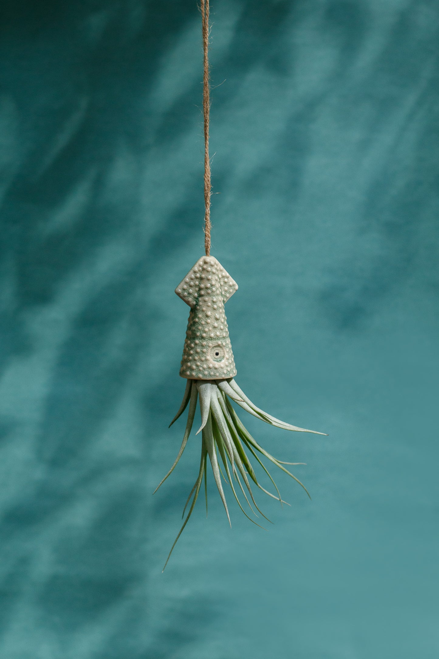 Keramik Luftpflanzenhalter „KUMO“ – Tintenfisch mit Tillandsia