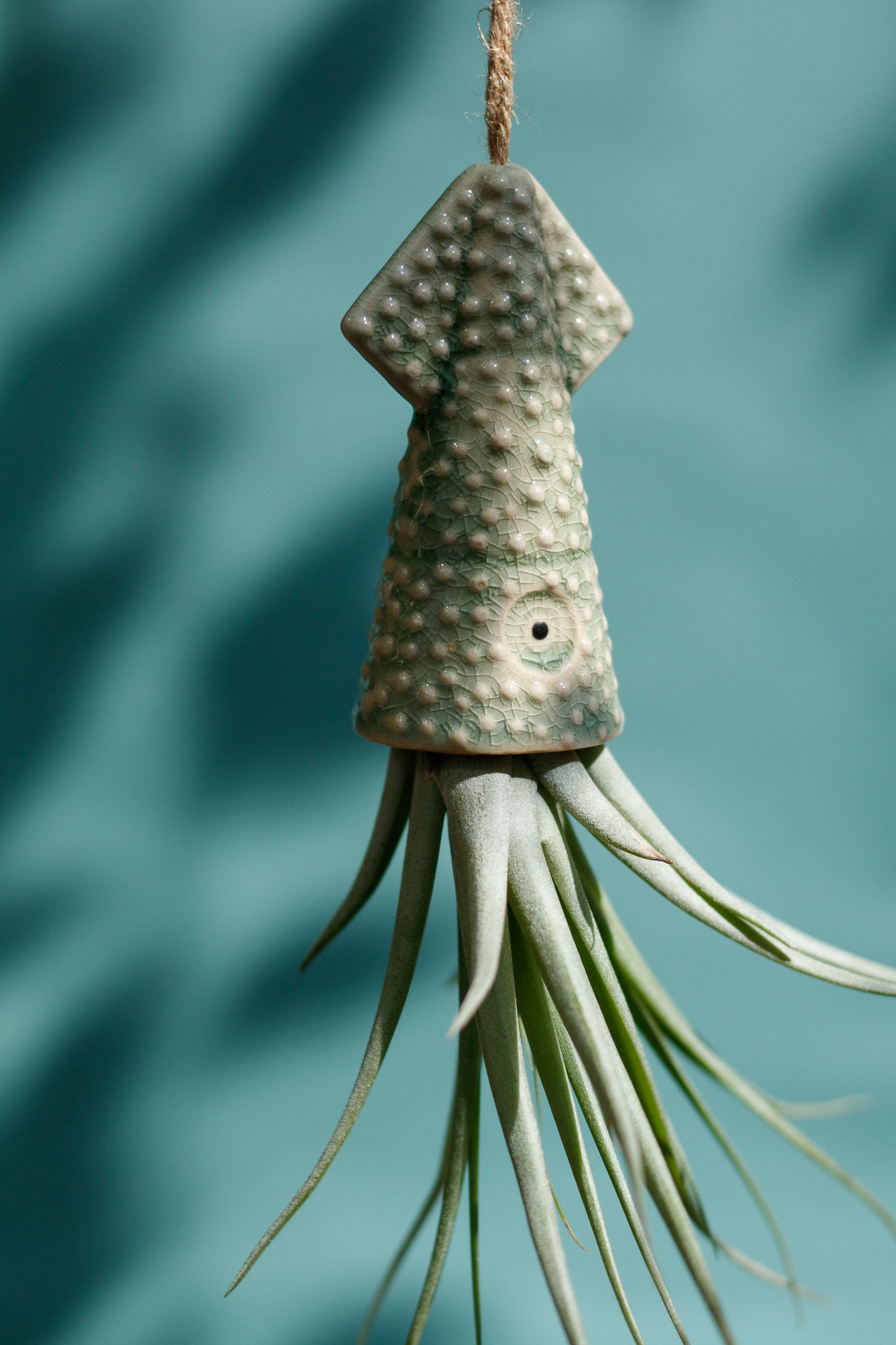 Keramik Luftpflanzenhalter „KUMO“ – Tintenfisch mit Tillandsia