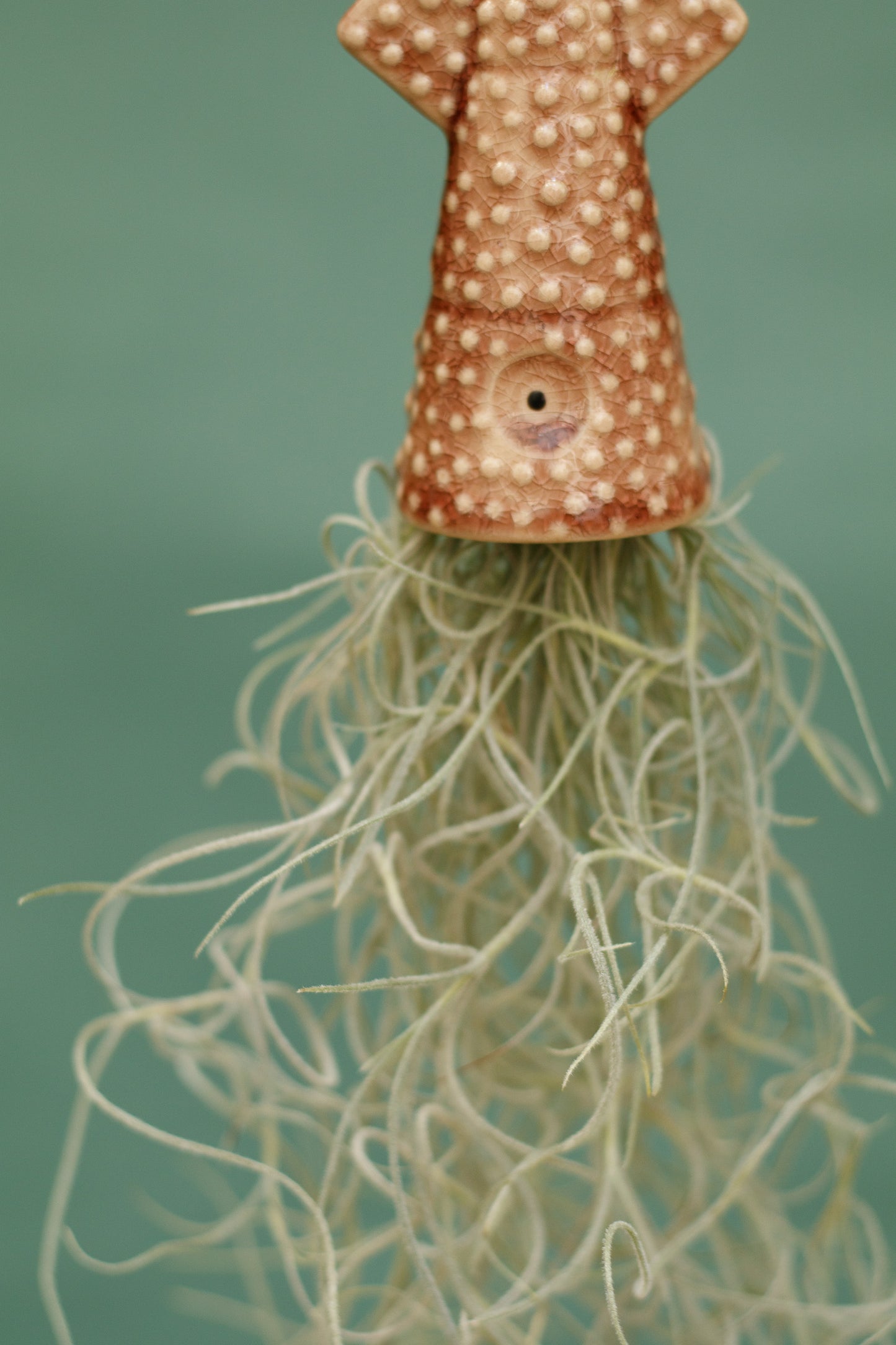 Keramik Luftpflanzenhalter „KUMO“ – Tintenfisch mit Tillandsia