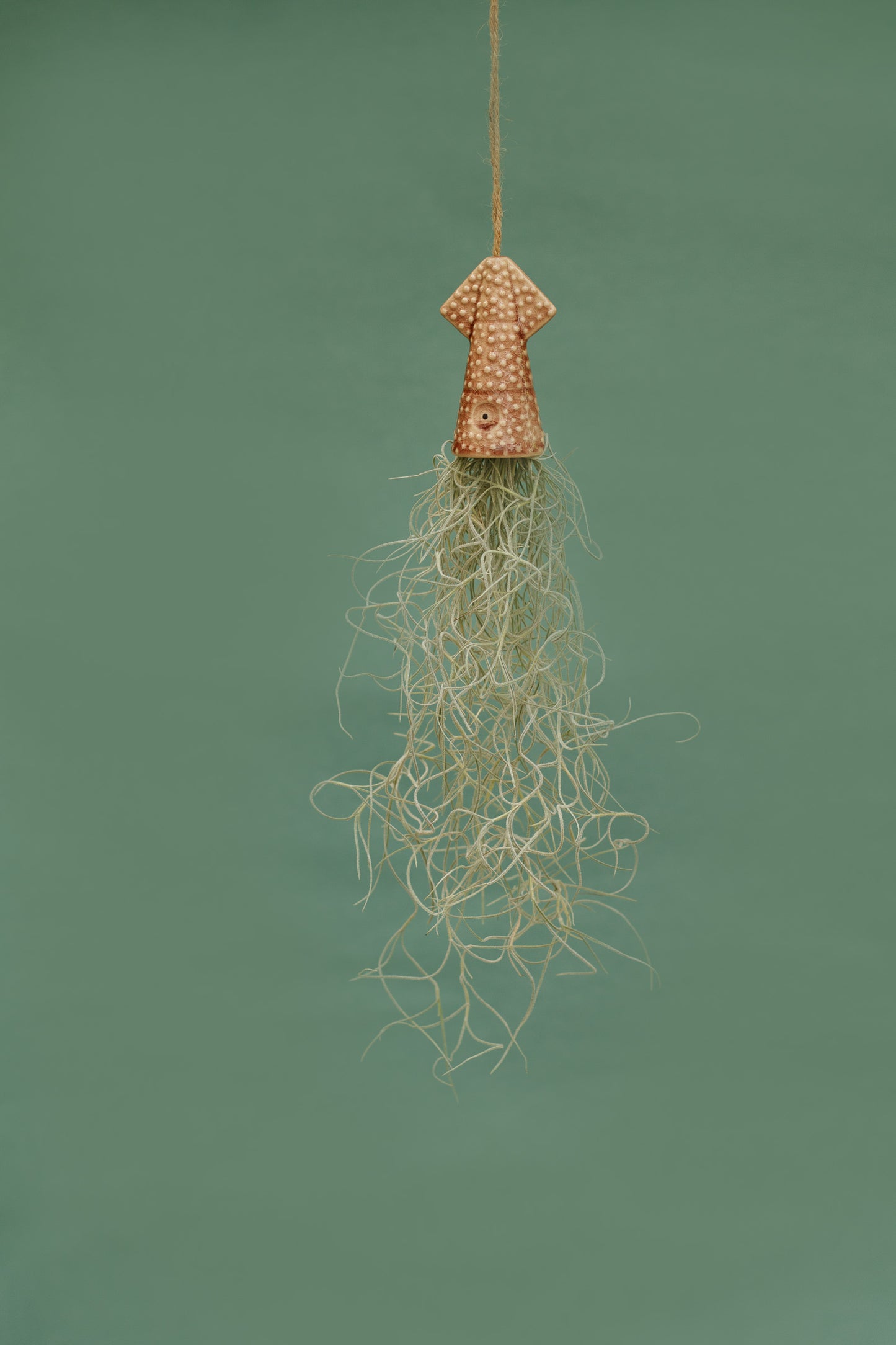 Keramik Luftpflanzenhalter „KUMO“ – Tintenfisch mit Tillandsia