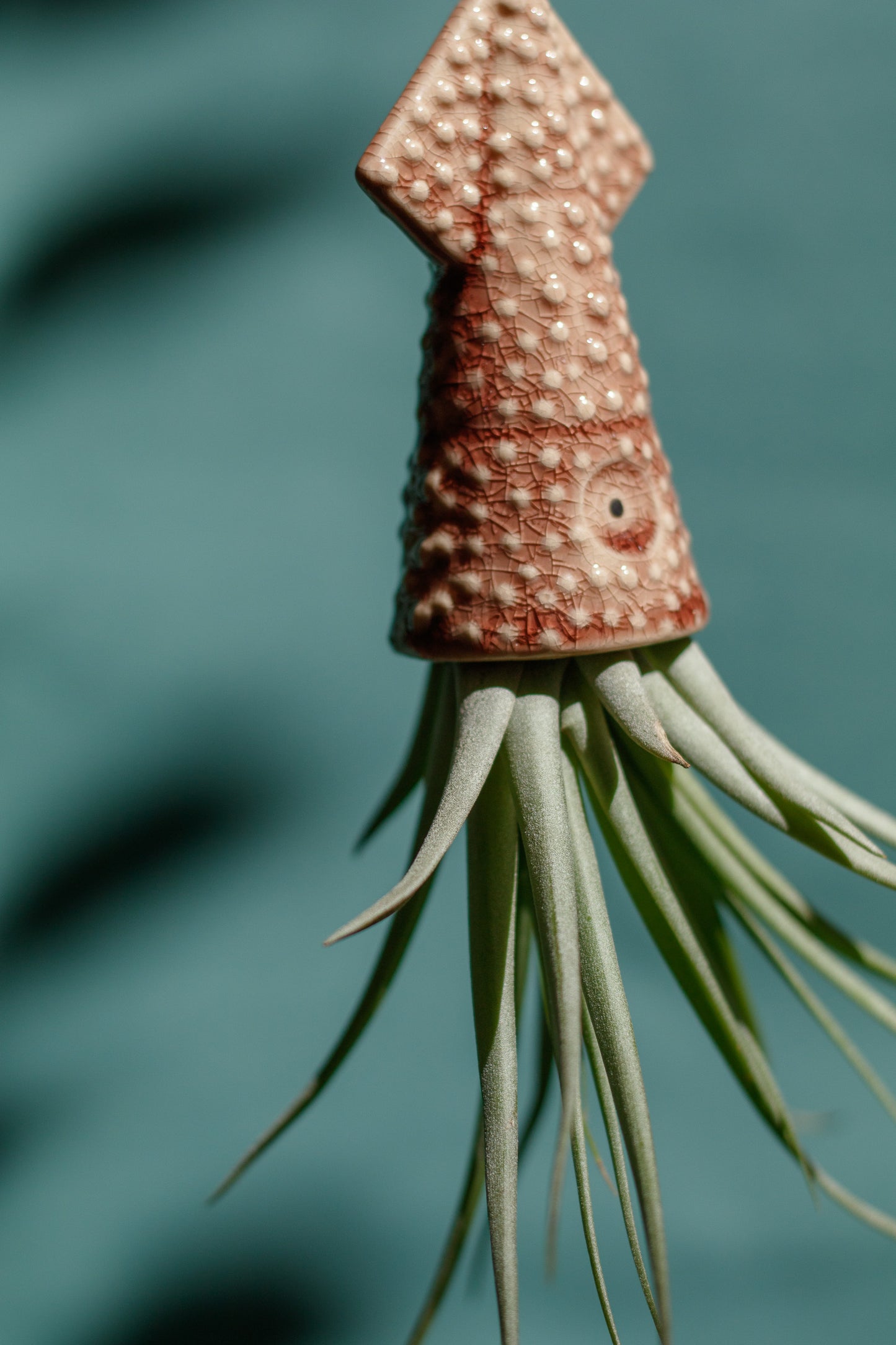Keramik Luftpflanzenhalter „KUMO“ – Tintenfisch mit Tillandsia
