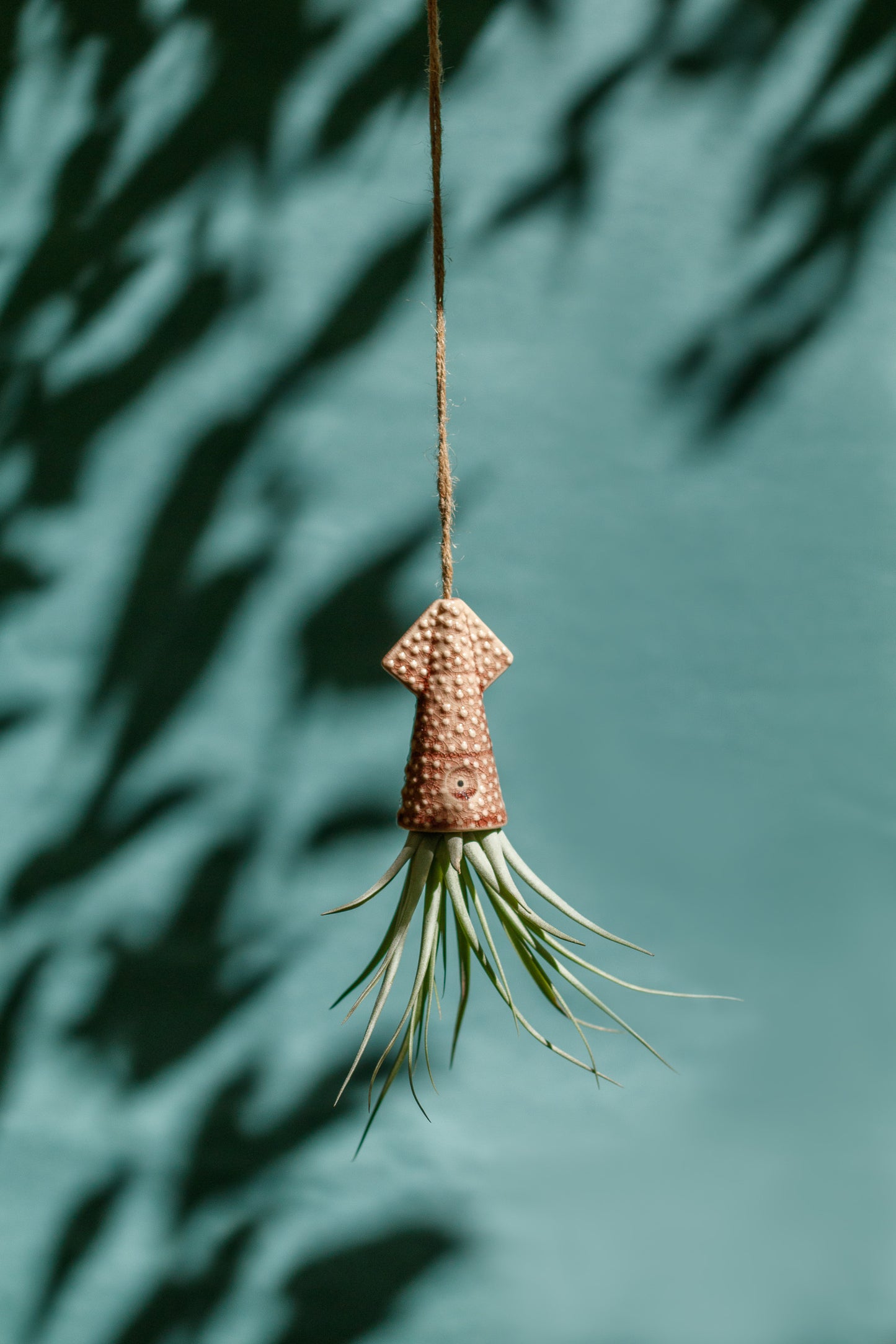 Keramik Luftpflanzenhalter „KUMO“ – Tintenfisch mit Tillandsia