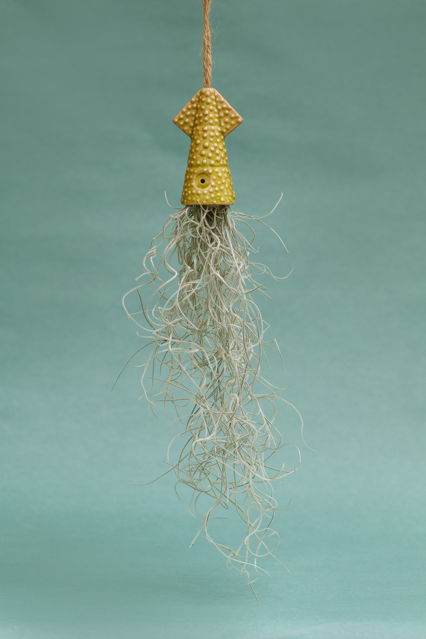 Keramik Luftpflanzenhalter „KUMO“ – Tintenfisch mit Tillandsia