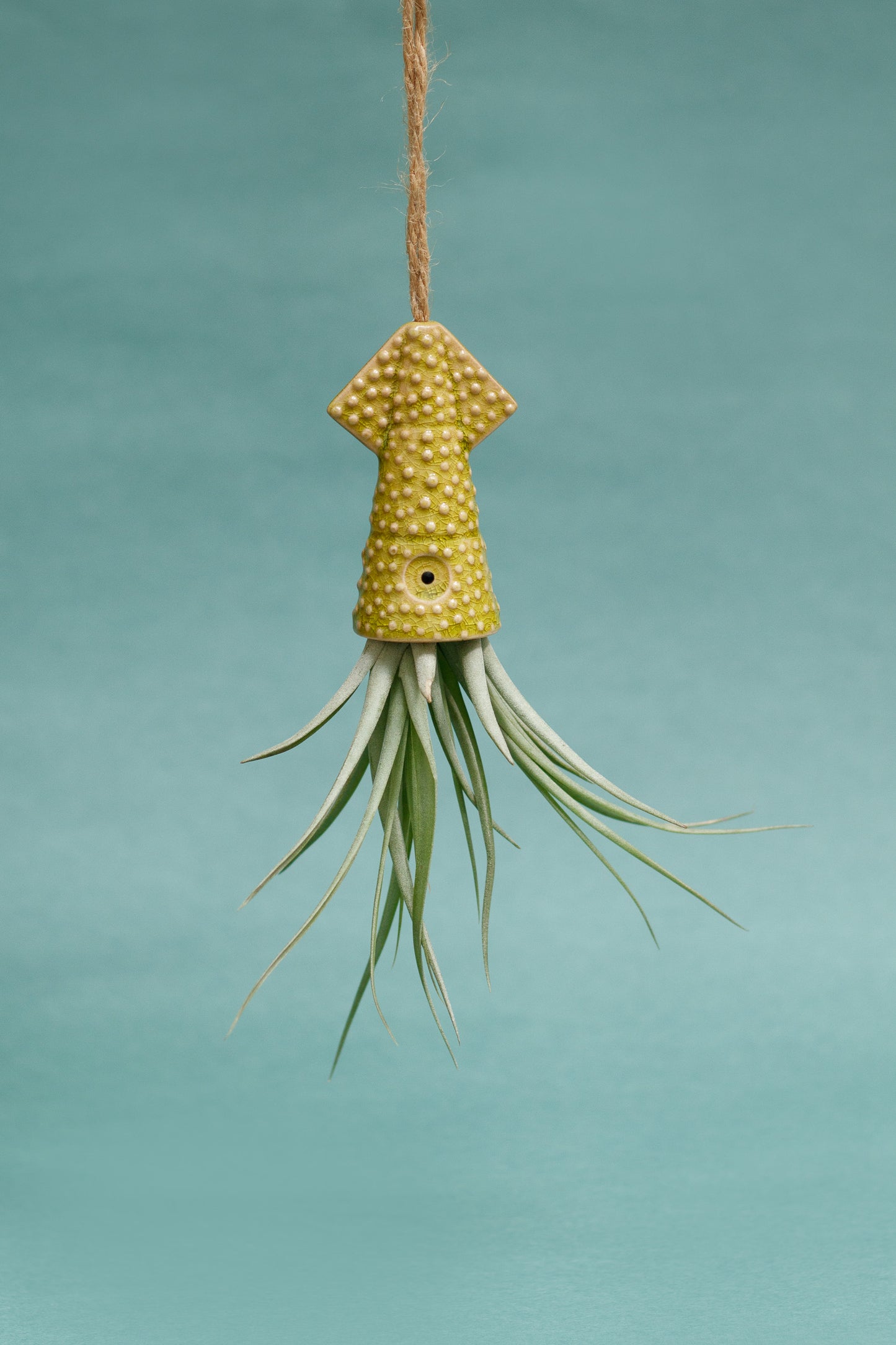 Keramik Luftpflanzenhalter „KUMO“ – Tintenfisch mit Tillandsia