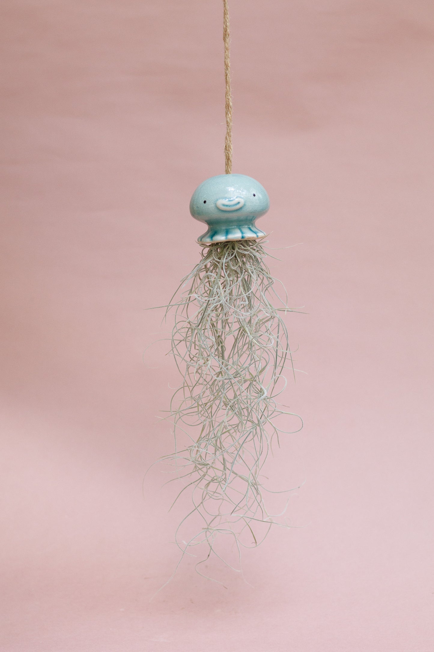 Keramik Luftpflanzenhalter „NONO“ – Qualle mit Tillandsia und fröhlichem Gesicht