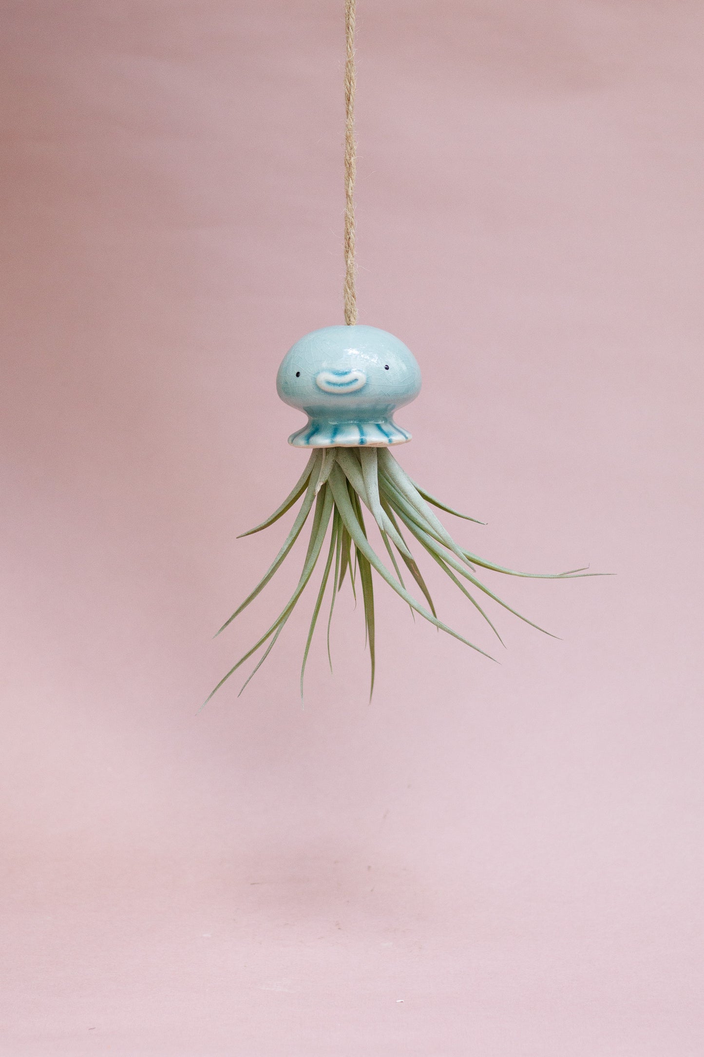 Keramik Luftpflanzenhalter „NONO“ – Qualle mit Tillandsia und fröhlichem Gesicht