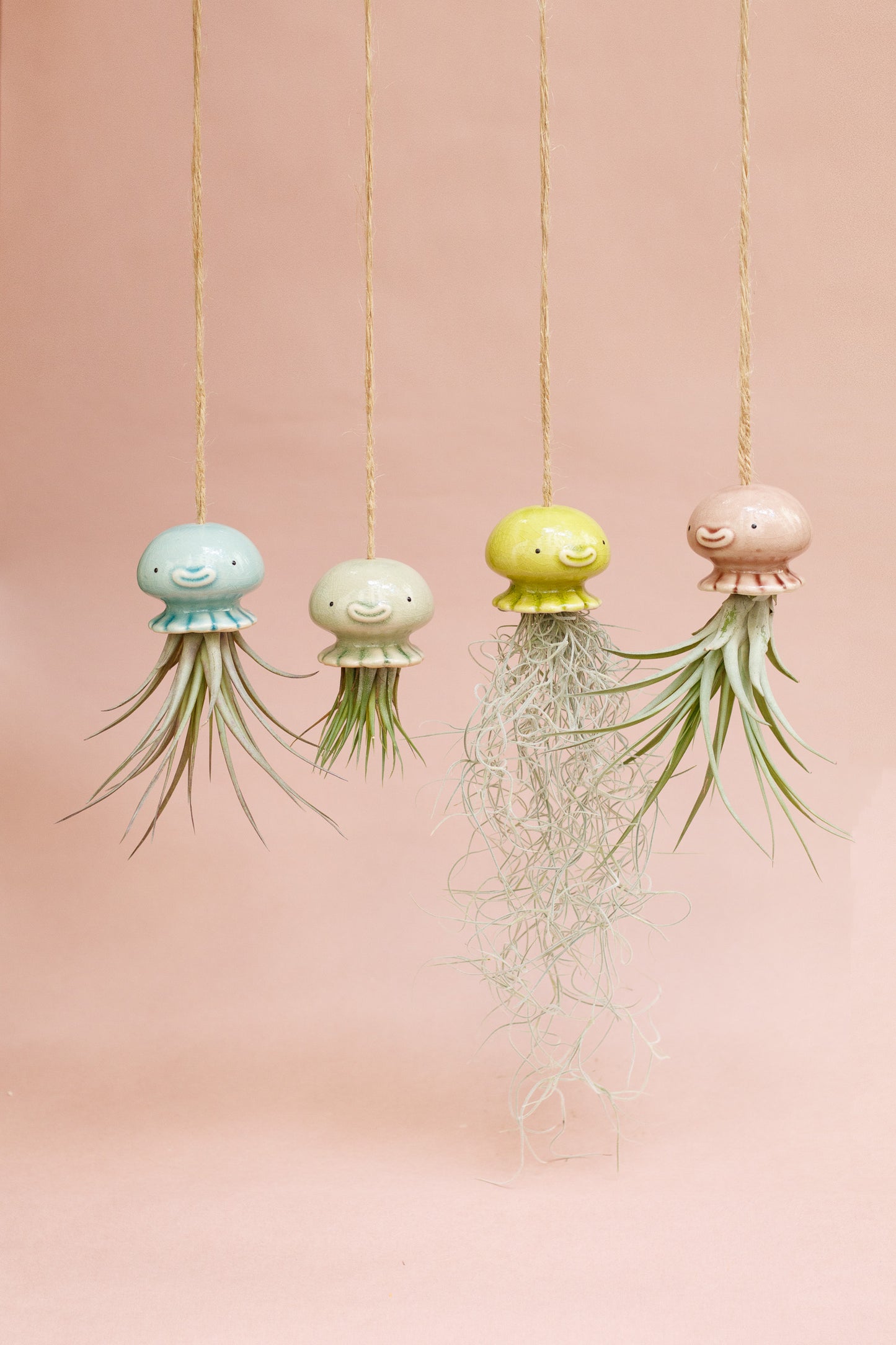 Keramik Luftpflanzenhalter „NONO“ – Qualle mit Tillandsia und fröhlichem Gesicht