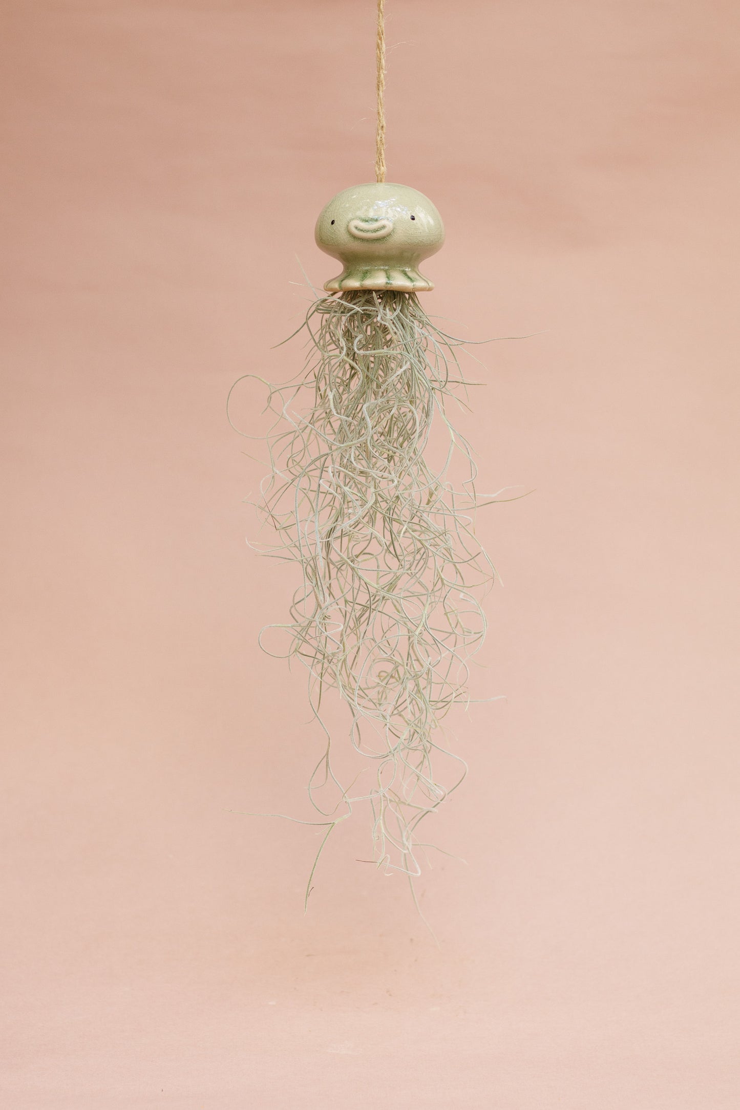 Keramik Luftpflanzenhalter „NONO“ – Qualle mit Tillandsia und fröhlichem Gesicht