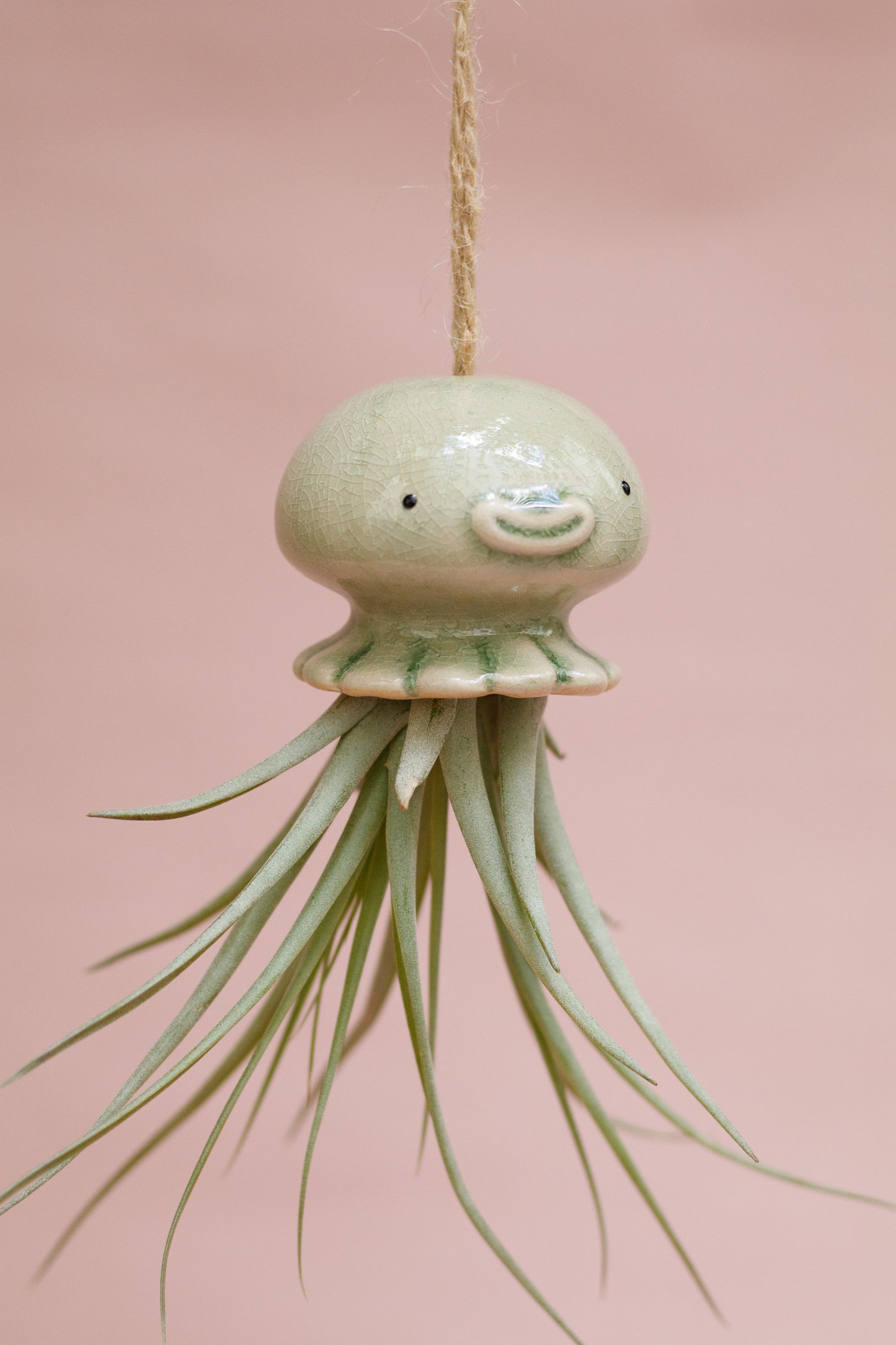 Keramik Luftpflanzenhalter „NONO“ – Qualle mit Tillandsia und fröhlichem Gesicht