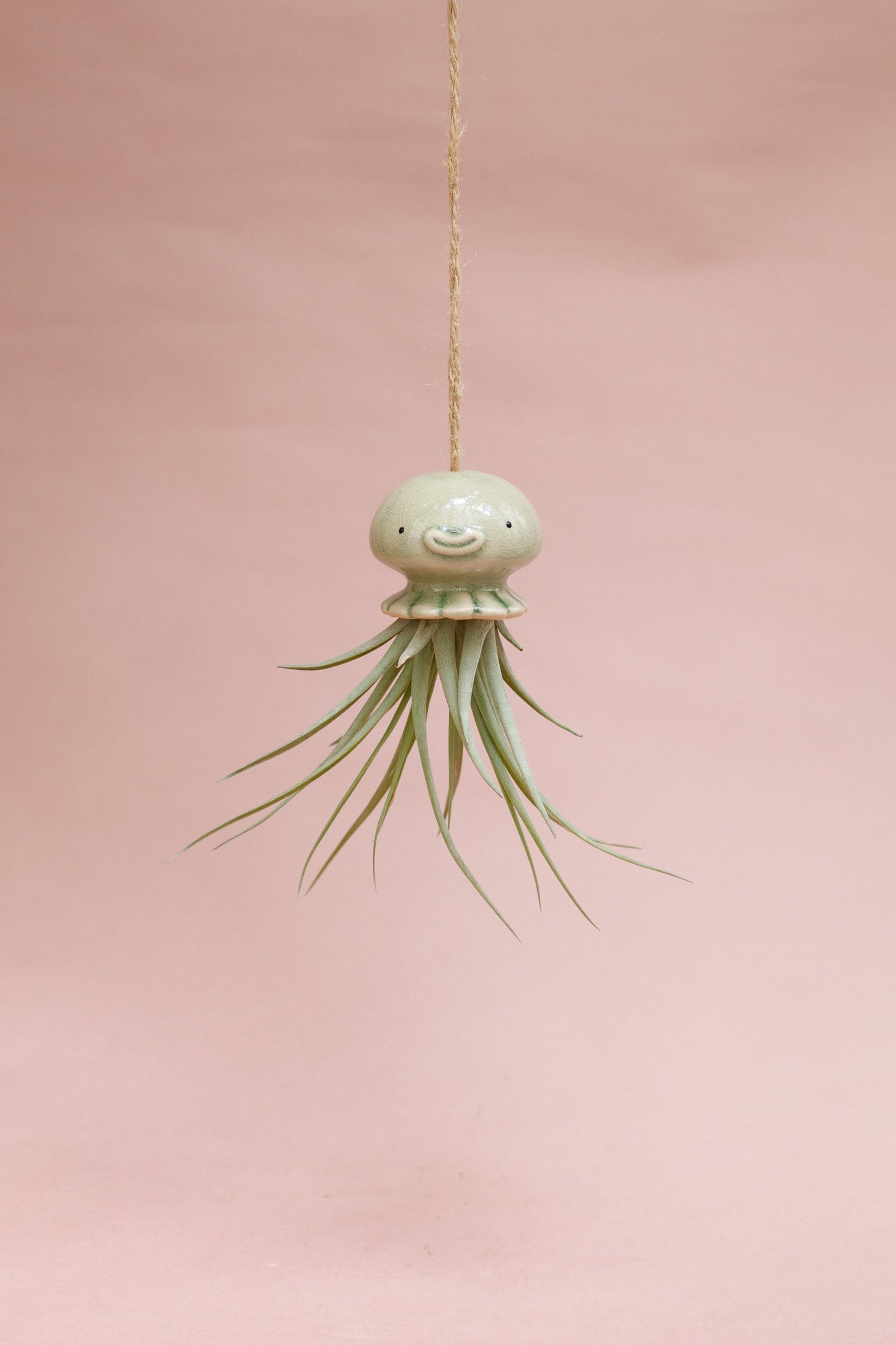 Keramik Luftpflanzenhalter „NONO“ – Qualle mit Tillandsia und fröhlichem Gesicht