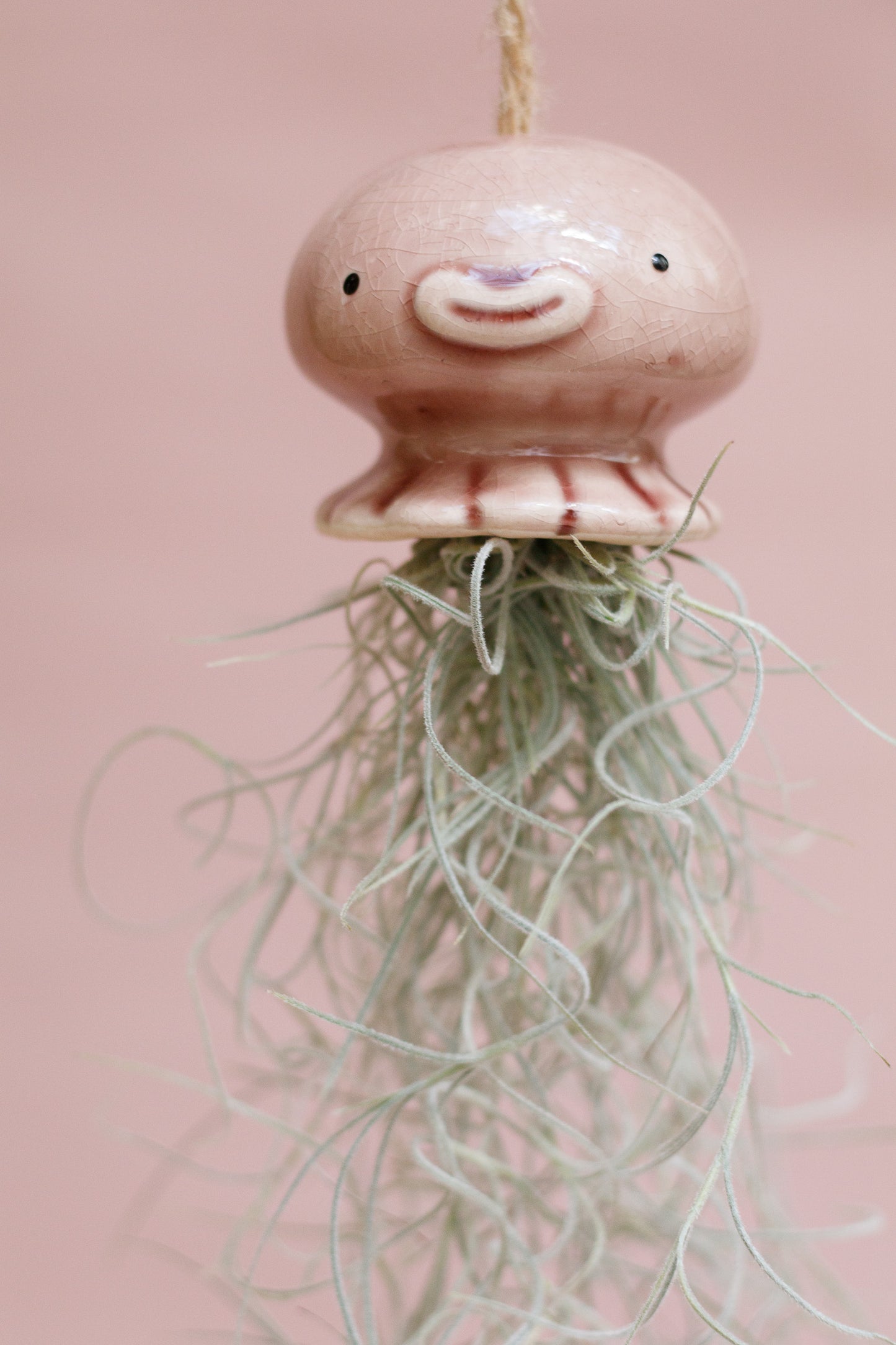 Keramik Luftpflanzenhalter „NONO“ – Qualle mit Tillandsia und fröhlichem Gesicht
