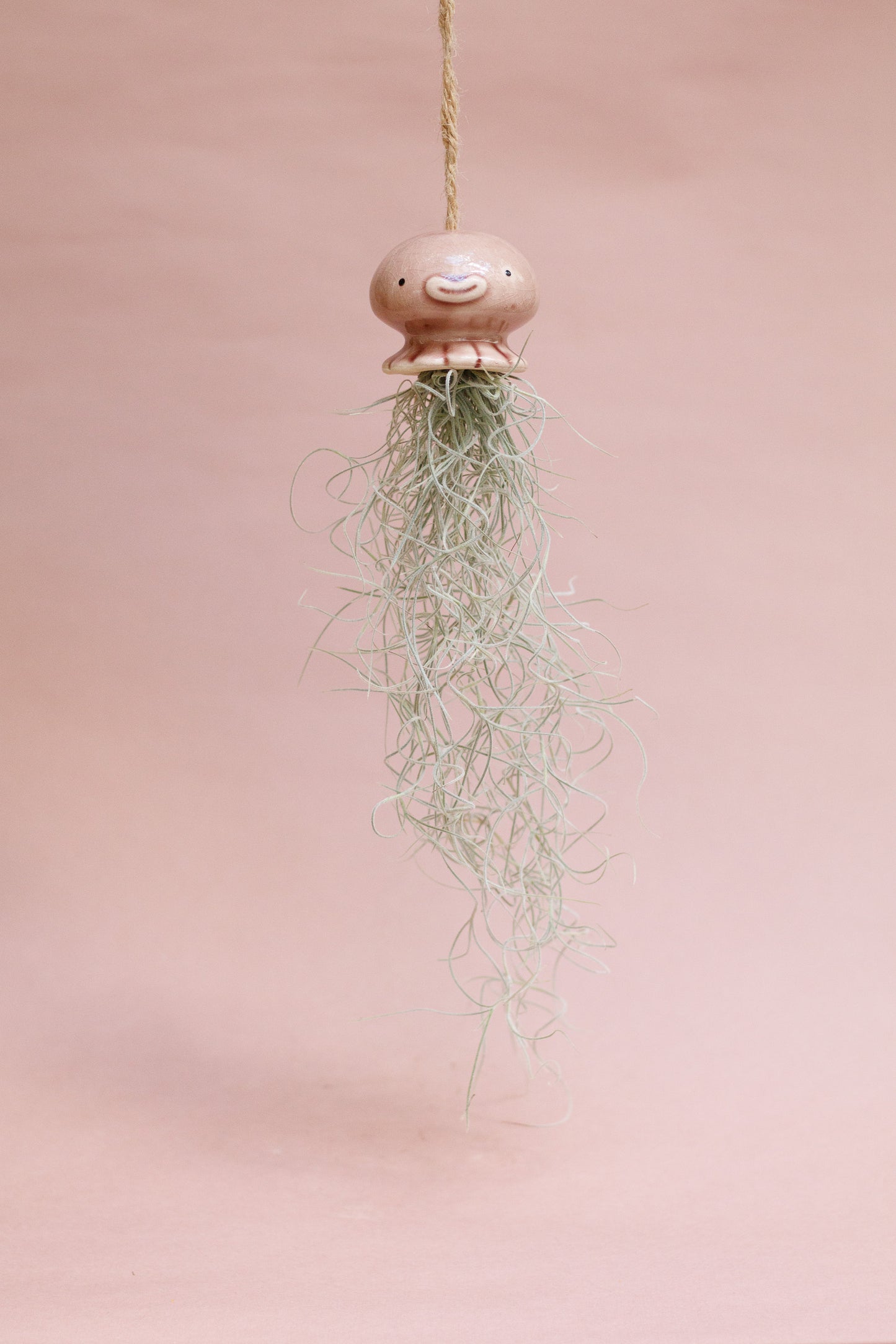 Keramik Luftpflanzenhalter „NONO“ – Qualle mit Tillandsia und fröhlichem Gesicht