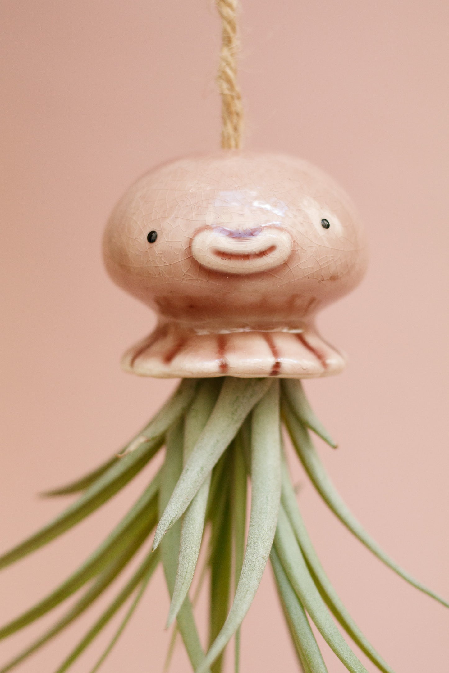 Keramik Luftpflanzenhalter „NONO“ – Qualle mit Tillandsia und fröhlichem Gesicht