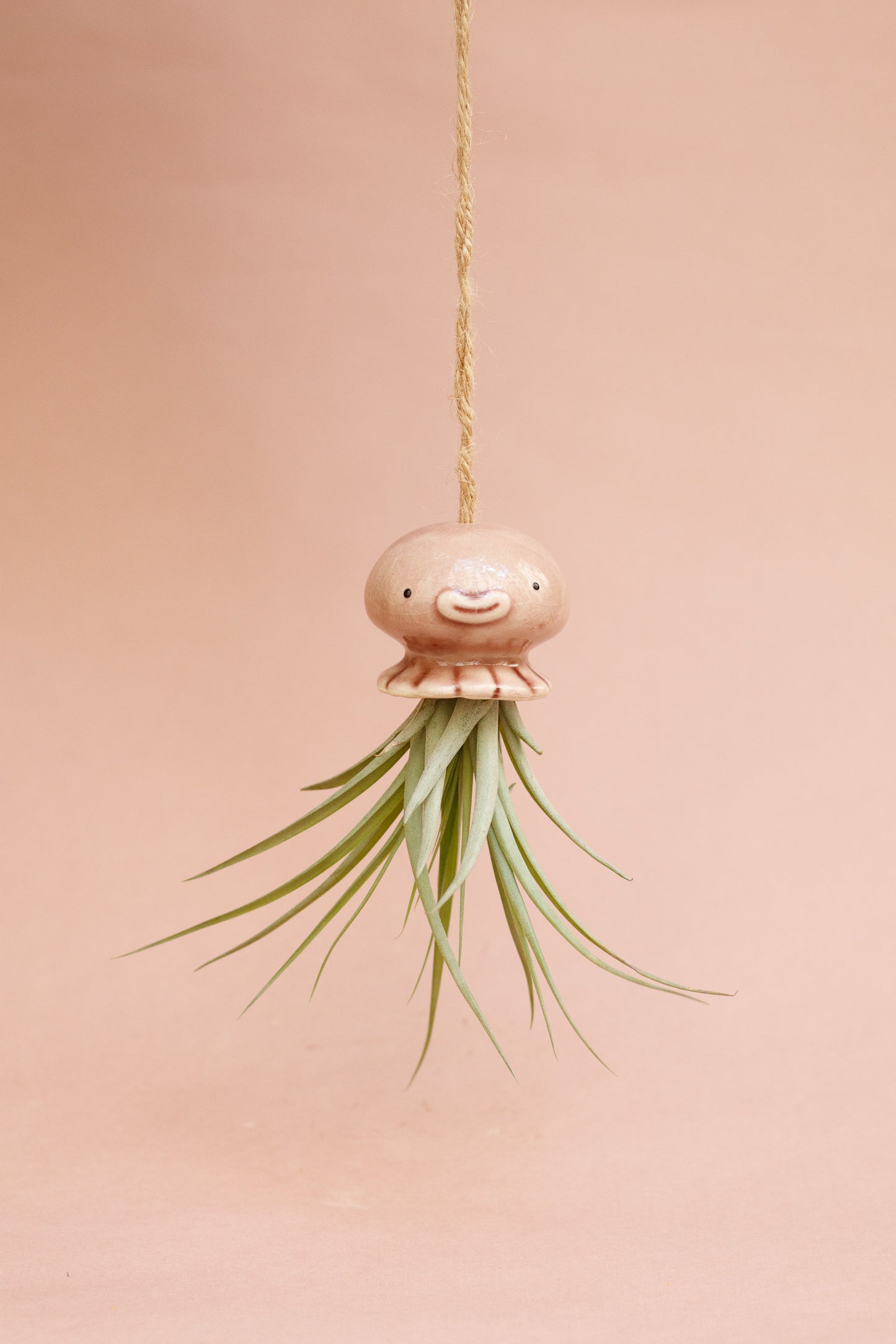 Keramik Luftpflanzenhalter „NONO“ – Qualle mit Tillandsia und fröhlichem Gesicht