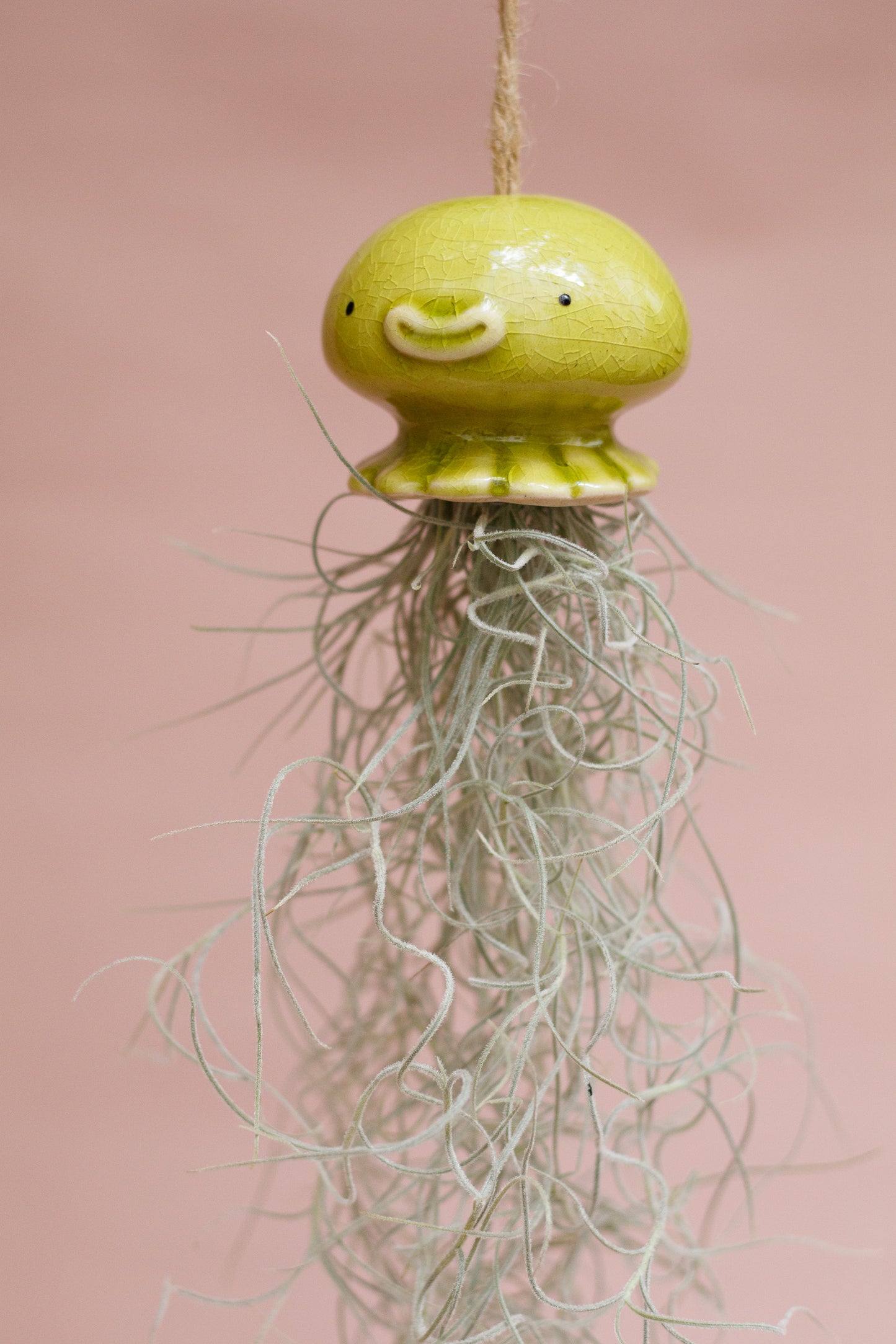 Keramik Luftpflanzenhalter „NONO“ – Qualle mit Tillandsia und fröhlichem Gesicht