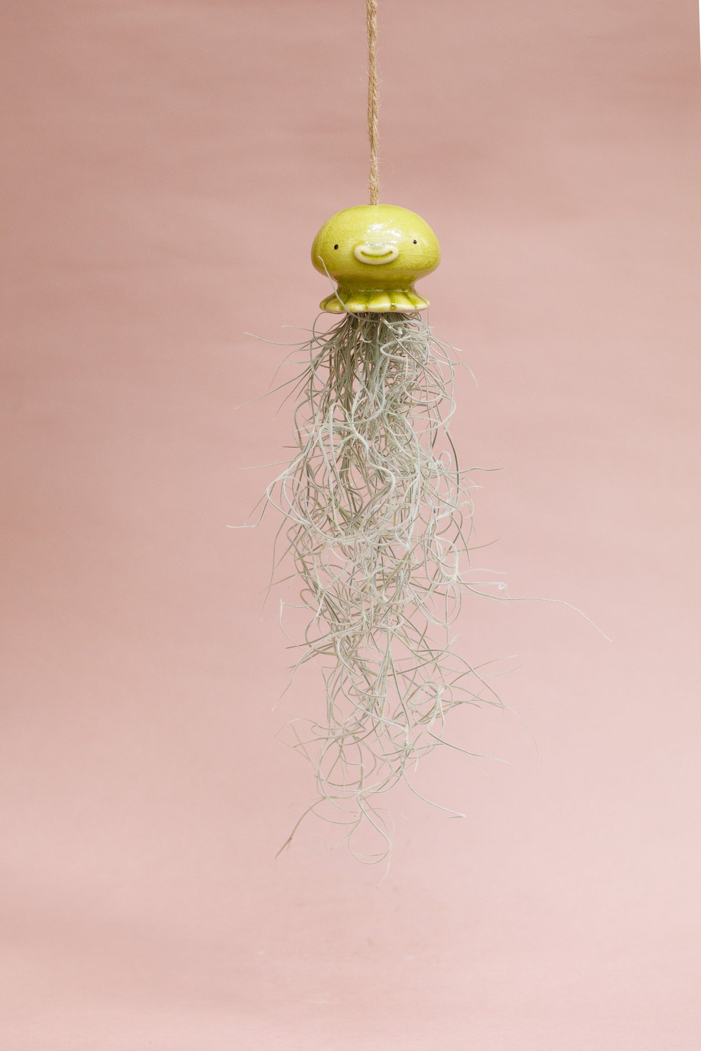 Keramik Luftpflanzenhalter „NONO“ – Qualle mit Tillandsia und fröhlichem Gesicht