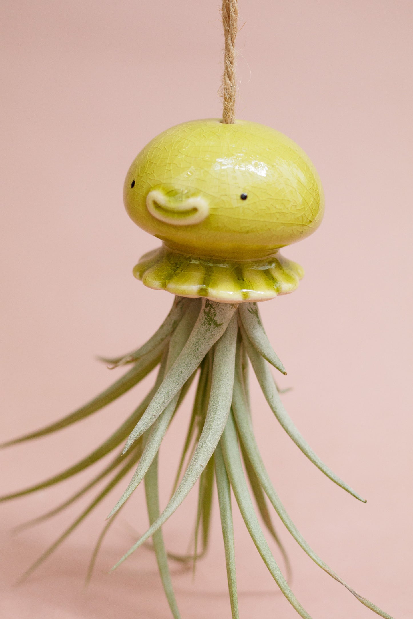 Keramik Luftpflanzenhalter „NONO“ – Qualle mit Tillandsia und fröhlichem Gesicht