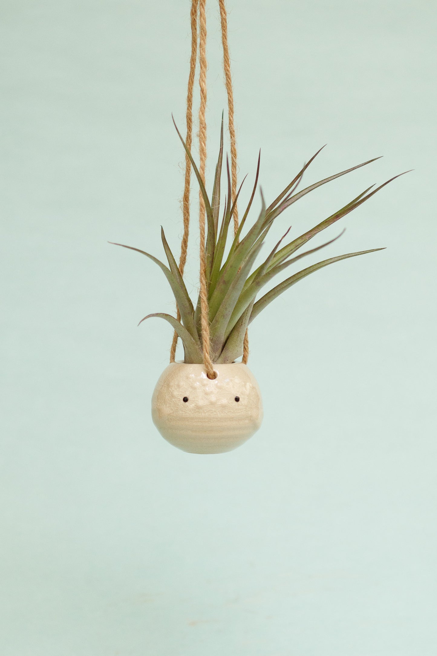 Keramik Luftpflanzenhalter „PEPE“ – Fisch mit Tillandsia