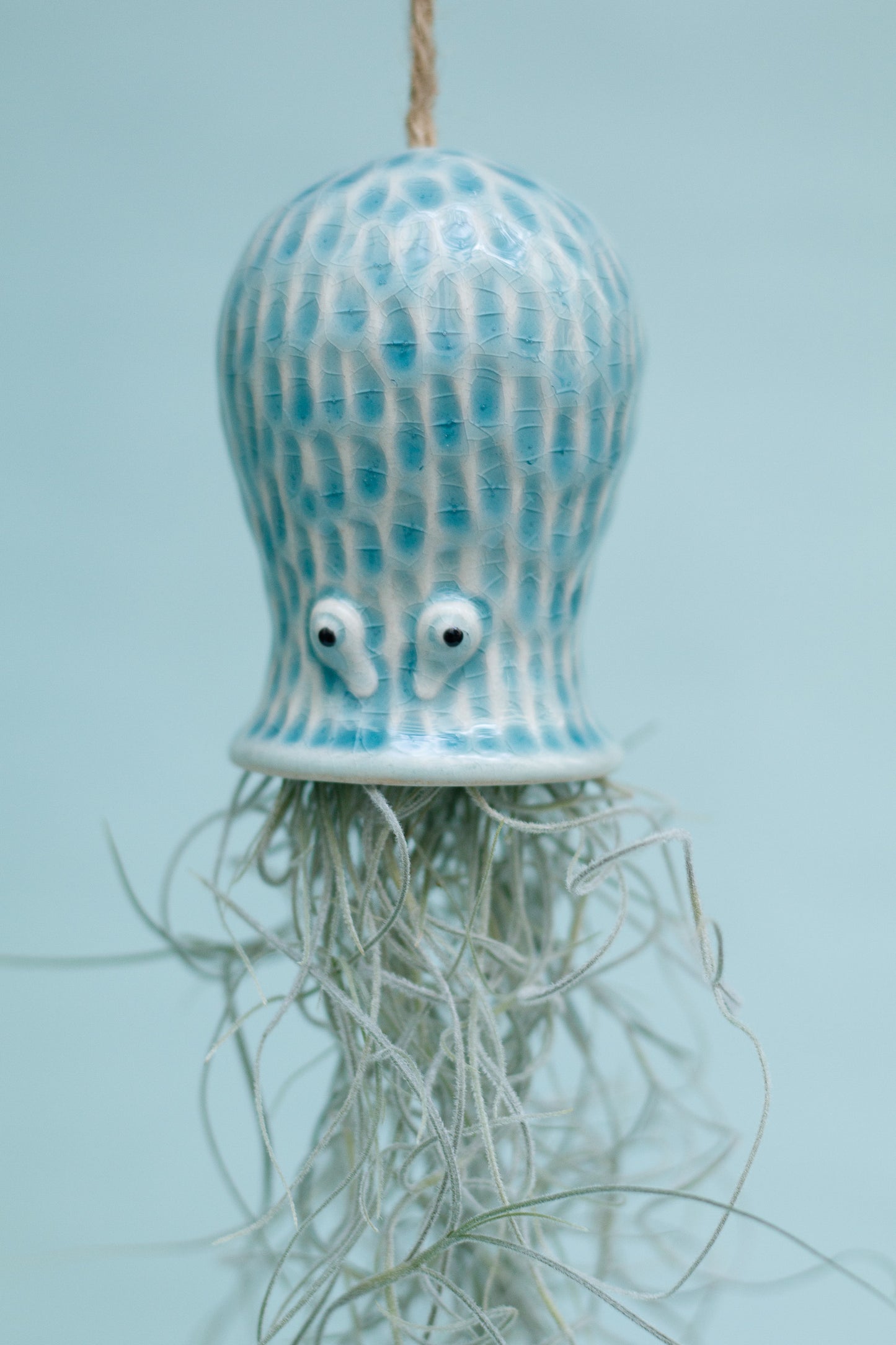 Keramik Luftpflanzenhalter „RAY“ – Oktopus mit Tillandsia