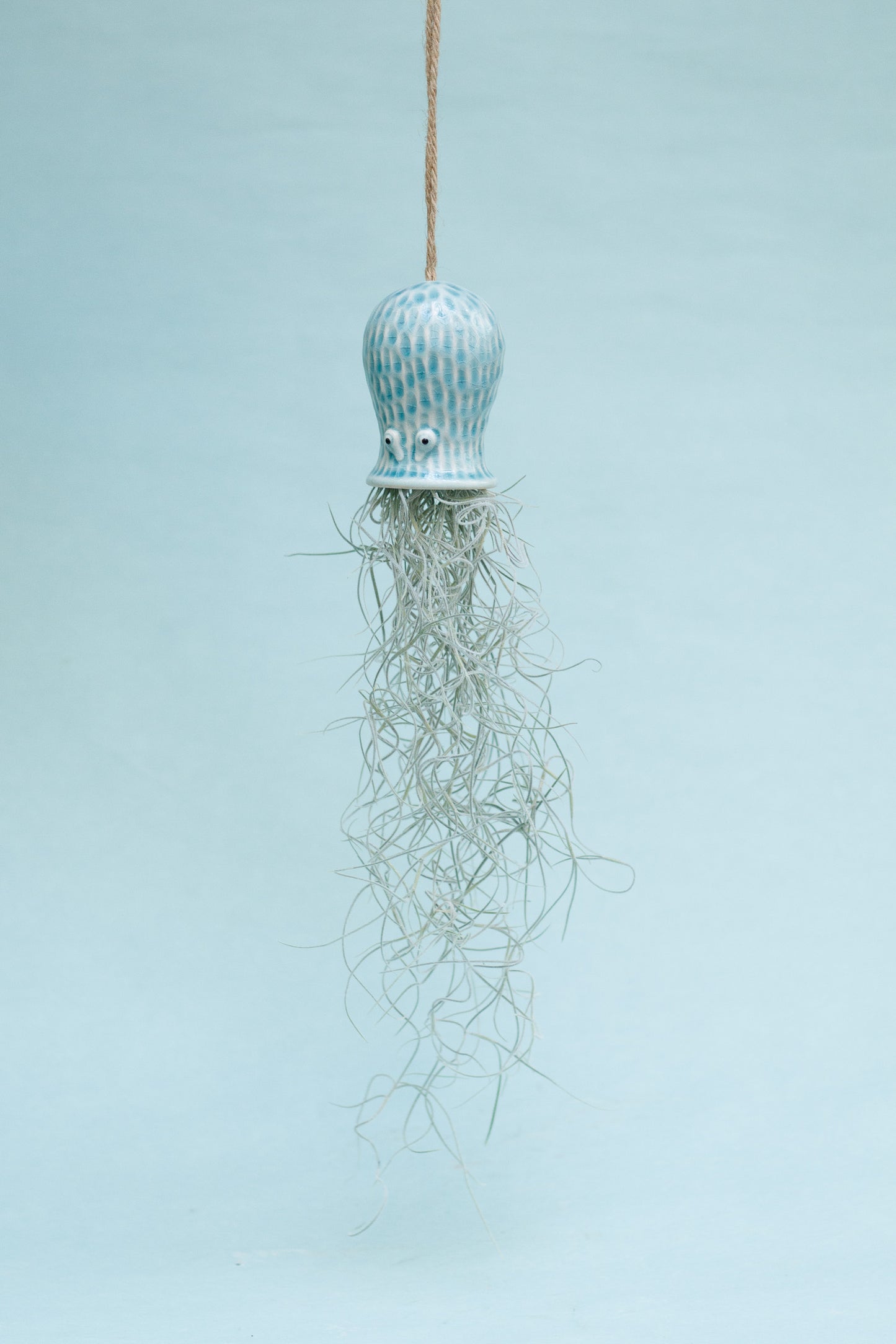 Keramik Luftpflanzenhalter „RAY“ – Oktopus mit Tillandsia