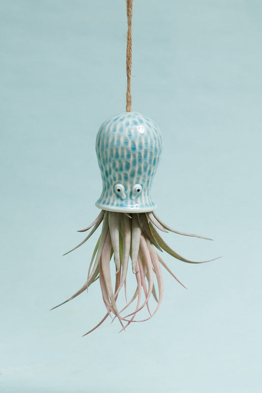 Keramik Luftpflanzenhalter „RAY“ – Oktopus mit Tillandsia