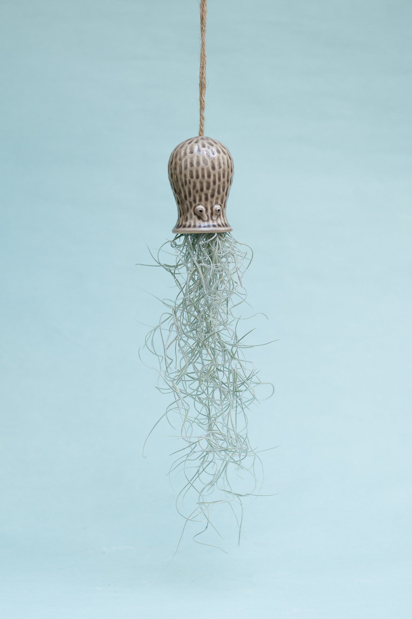 Keramik Luftpflanzenhalter „RAY“ – Oktopus mit Tillandsia