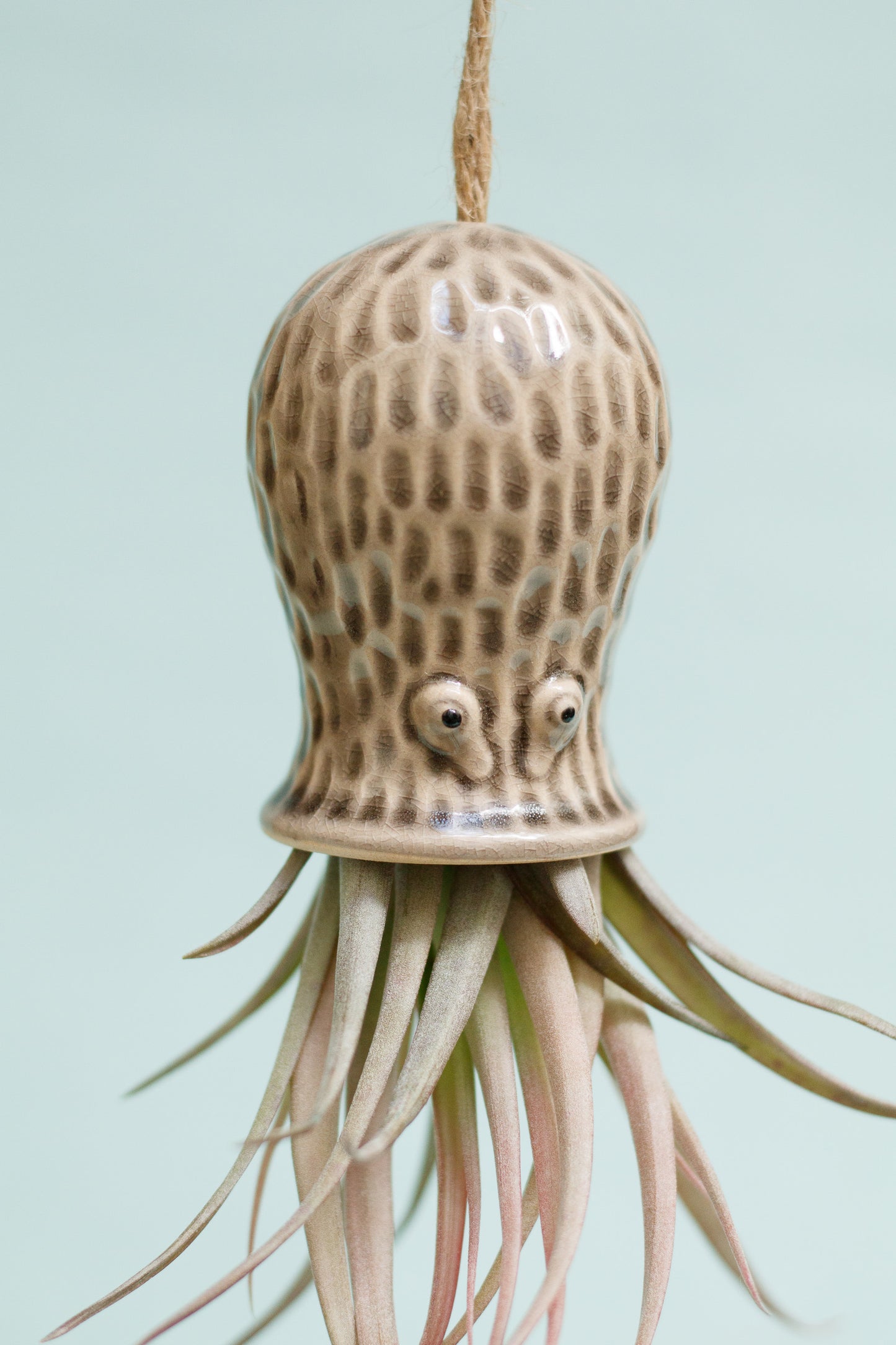 Keramik Luftpflanzenhalter „RAY“ – Oktopus mit Tillandsia
