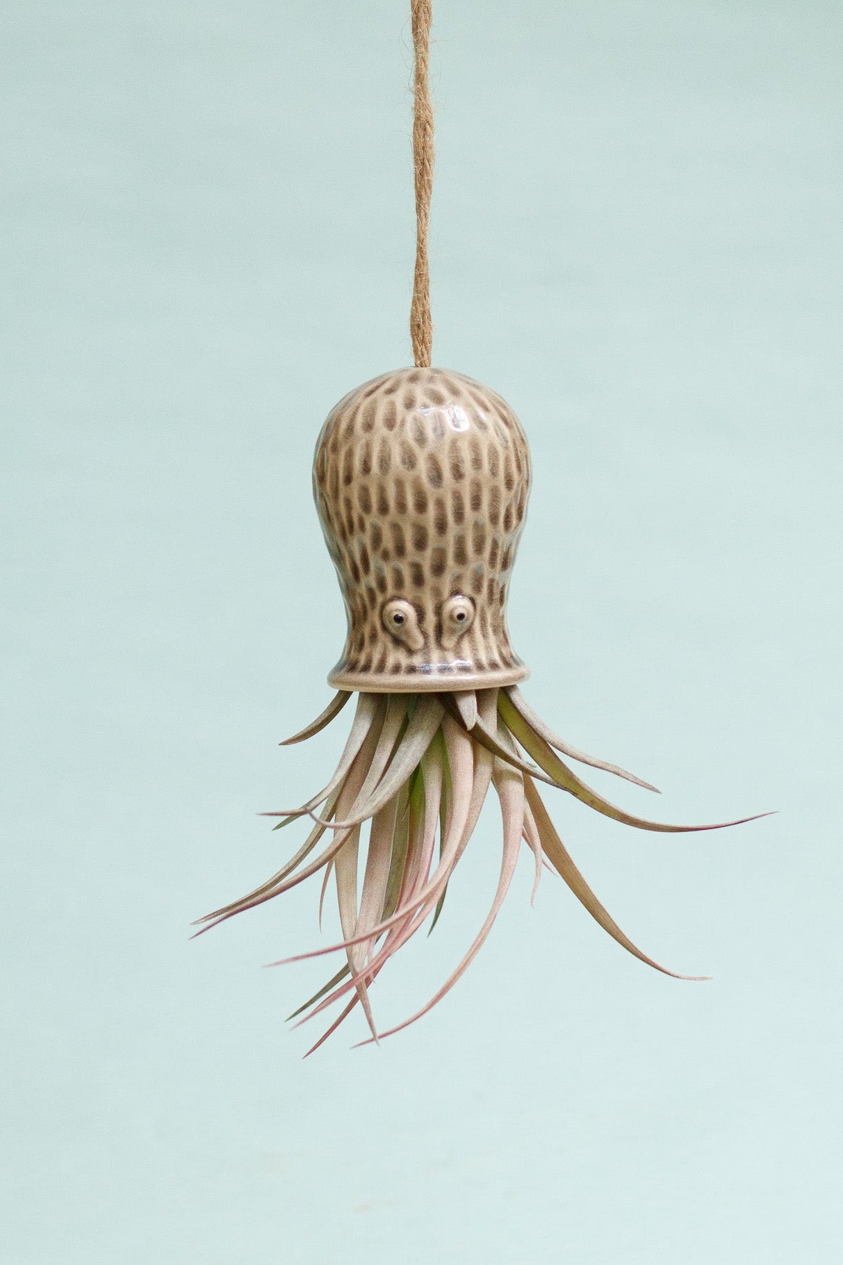 Keramik Luftpflanzenhalter „RAY“ – Oktopus mit Tillandsia