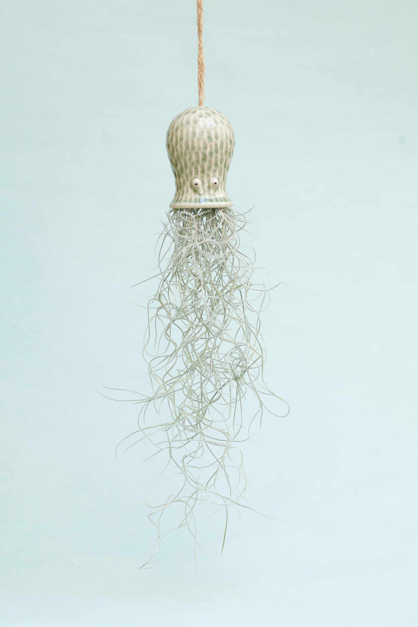 Keramik Luftpflanzenhalter „RAY“ – Oktopus mit Tillandsia