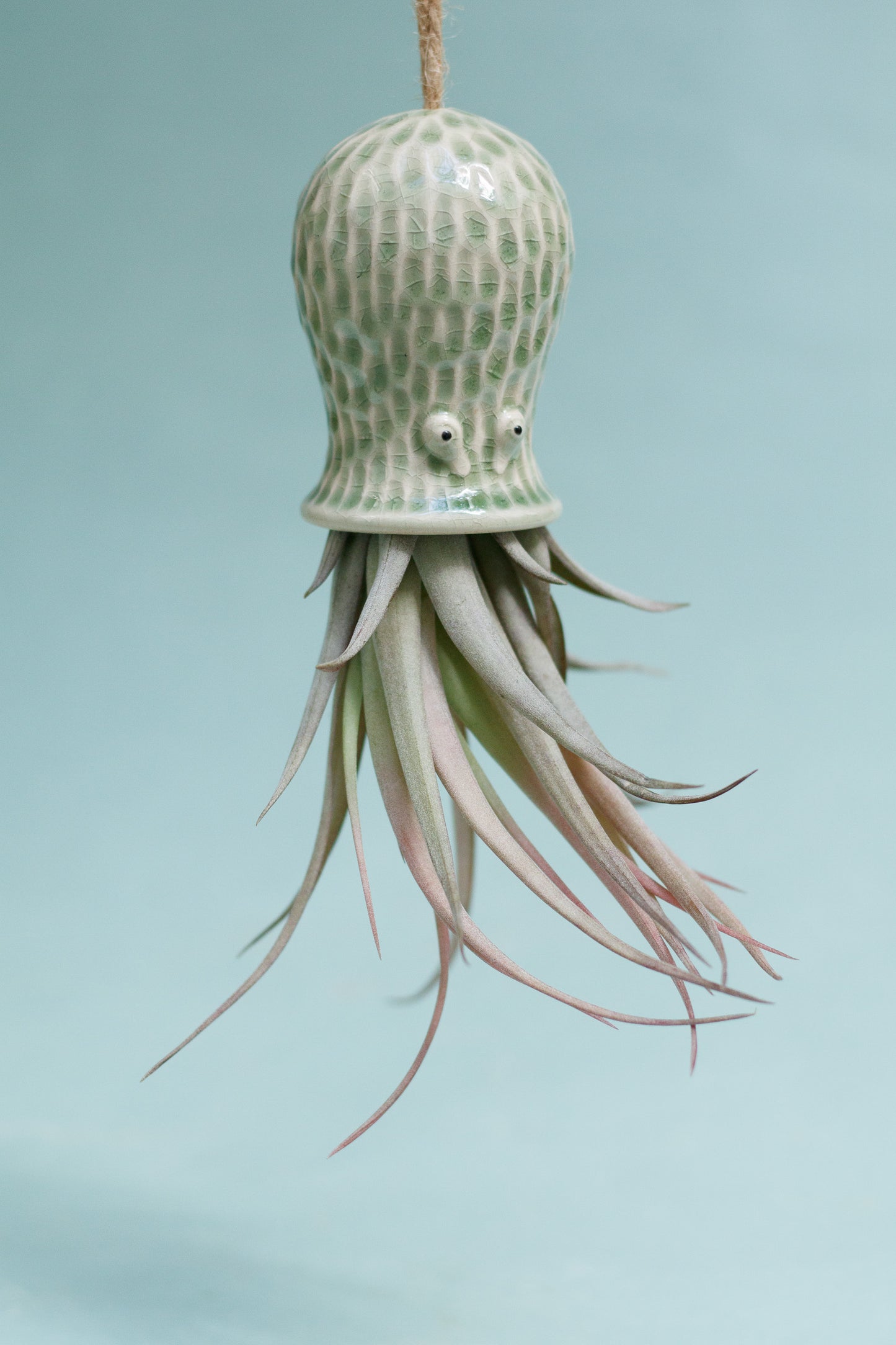 Keramik Luftpflanzenhalter „RAY“ – Oktopus mit Tillandsia