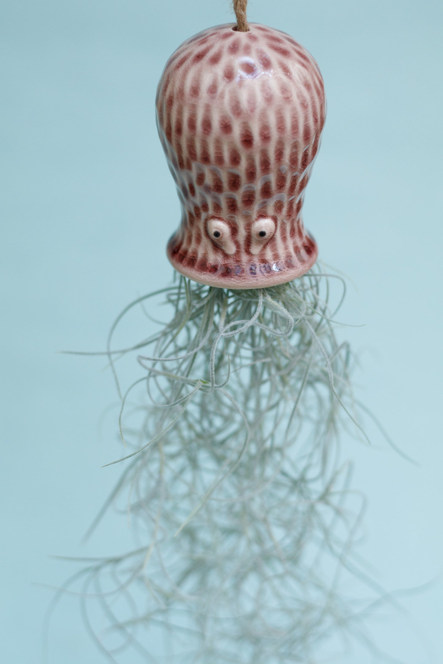 Keramik Luftpflanzenhalter „RAY“ – Oktopus mit Tillandsia