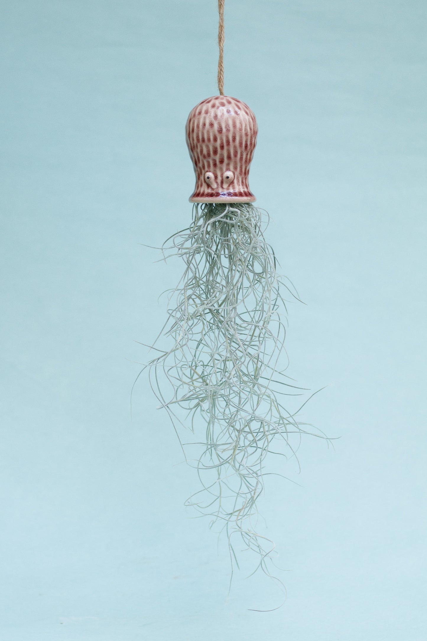 Keramik Luftpflanzenhalter „RAY“ – Oktopus mit Tillandsia
