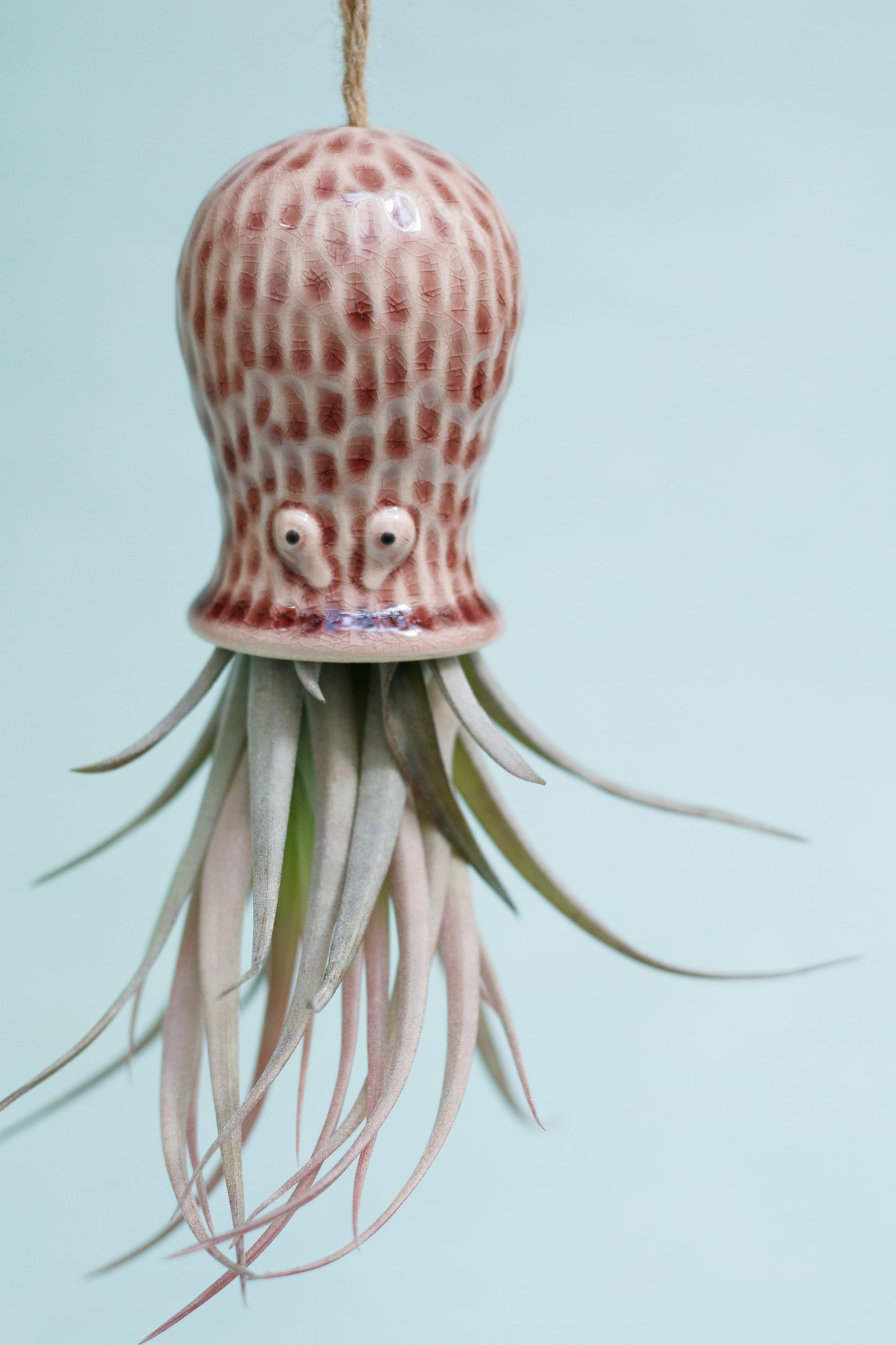 Keramik Luftpflanzenhalter „RAY“ – Oktopus mit Tillandsia