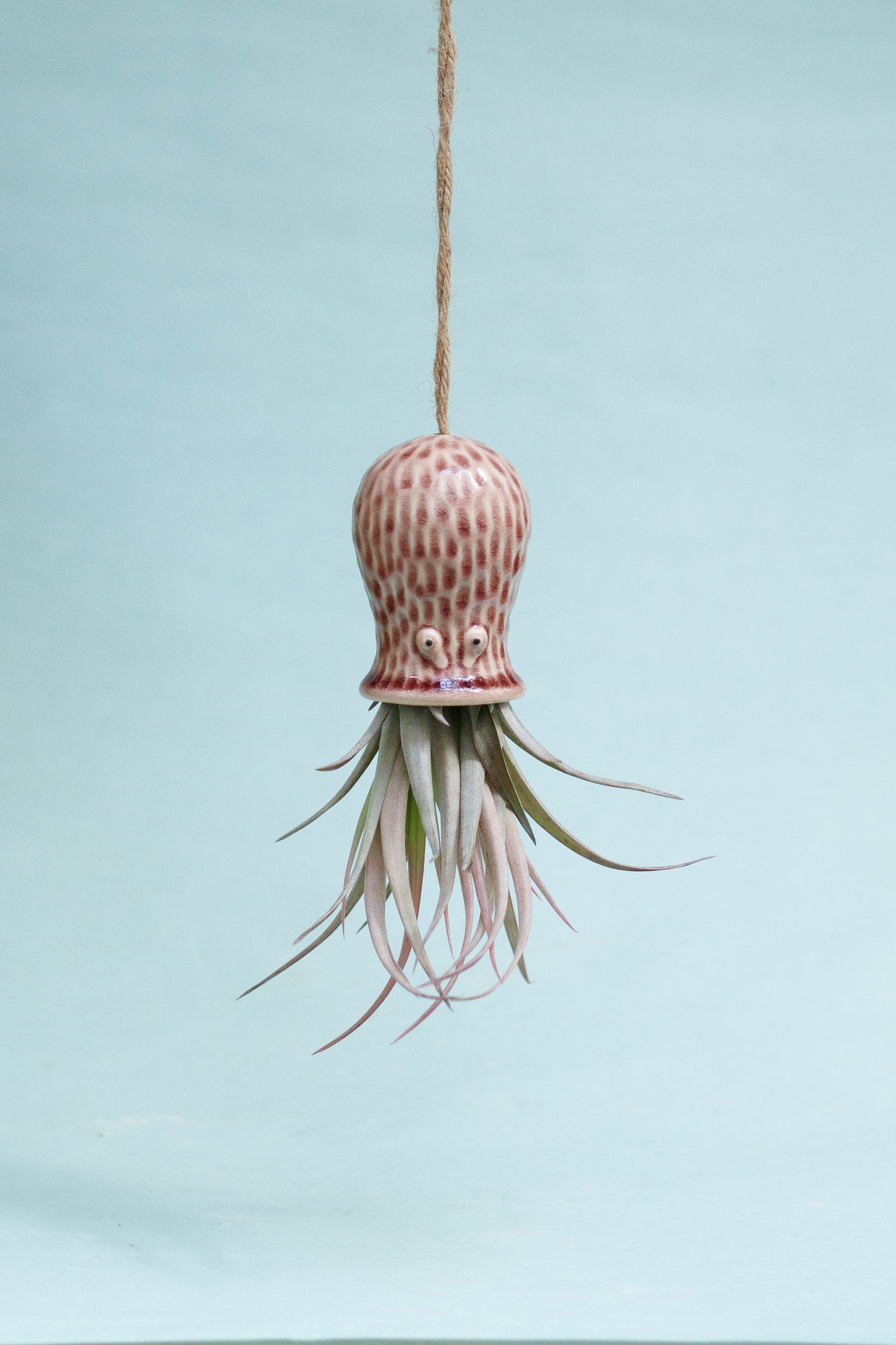 Keramik Luftpflanzenhalter „RAY“ – Oktopus mit Tillandsia