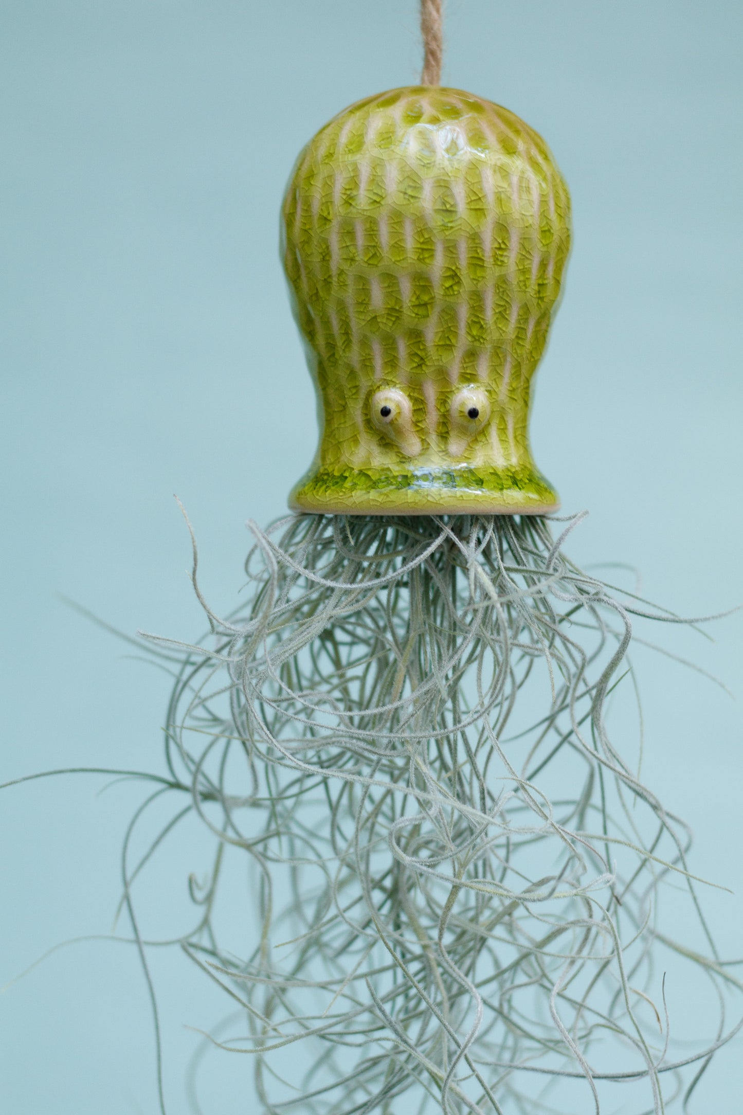 Keramik Luftpflanzenhalter „RAY“ – Oktopus mit Tillandsia