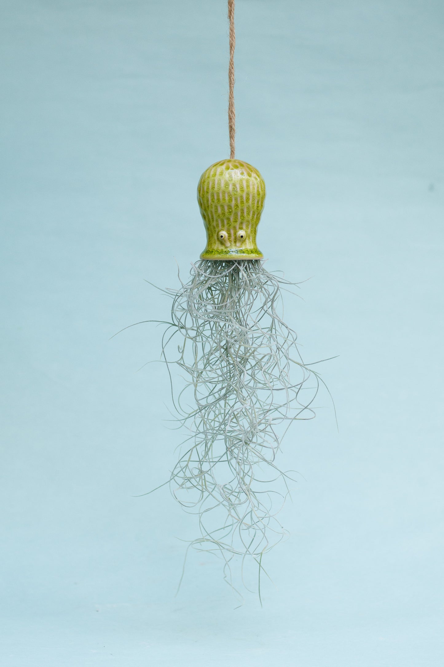 Keramik Luftpflanzenhalter „RAY“ – Oktopus mit Tillandsia