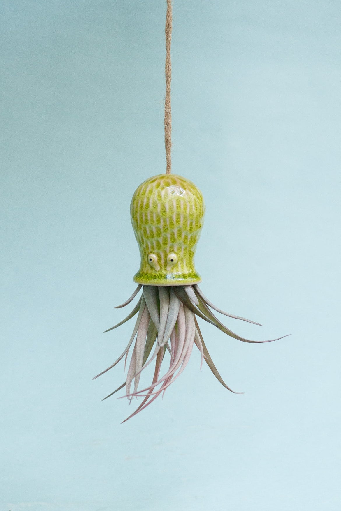 Keramik Luftpflanzenhalter „RAY“ – Oktopus mit Tillandsia