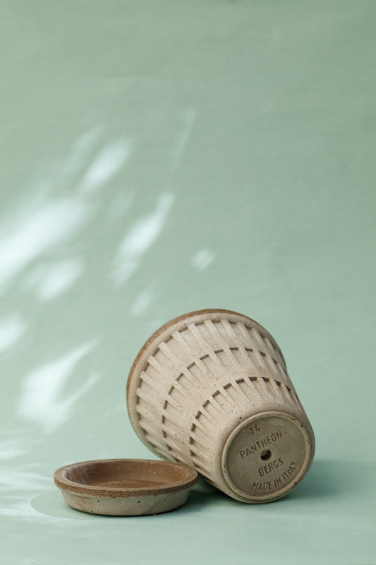 Bergs Potter Pantheon Pflanztopf Grau mit Untersetzer