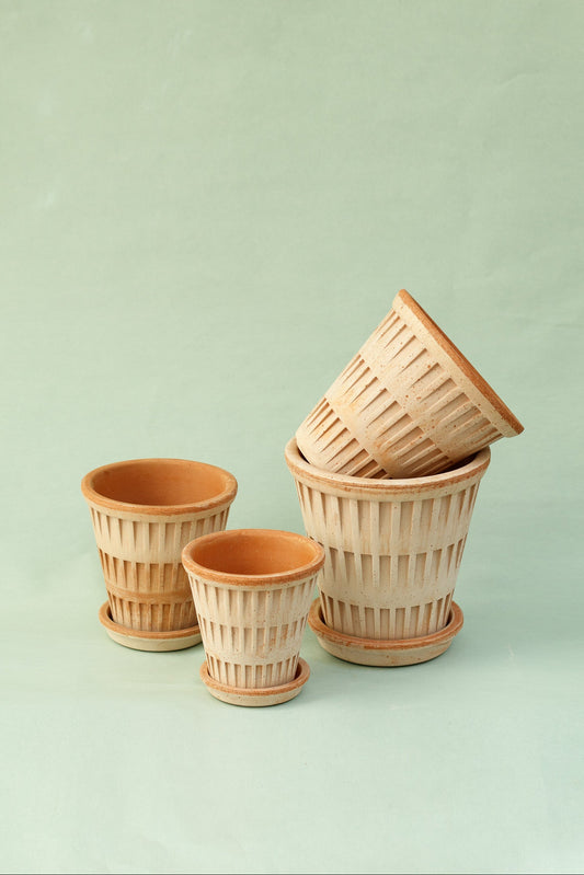 Bergs Potter Pantheon Pflanztopf Rosa mit Untersetzer